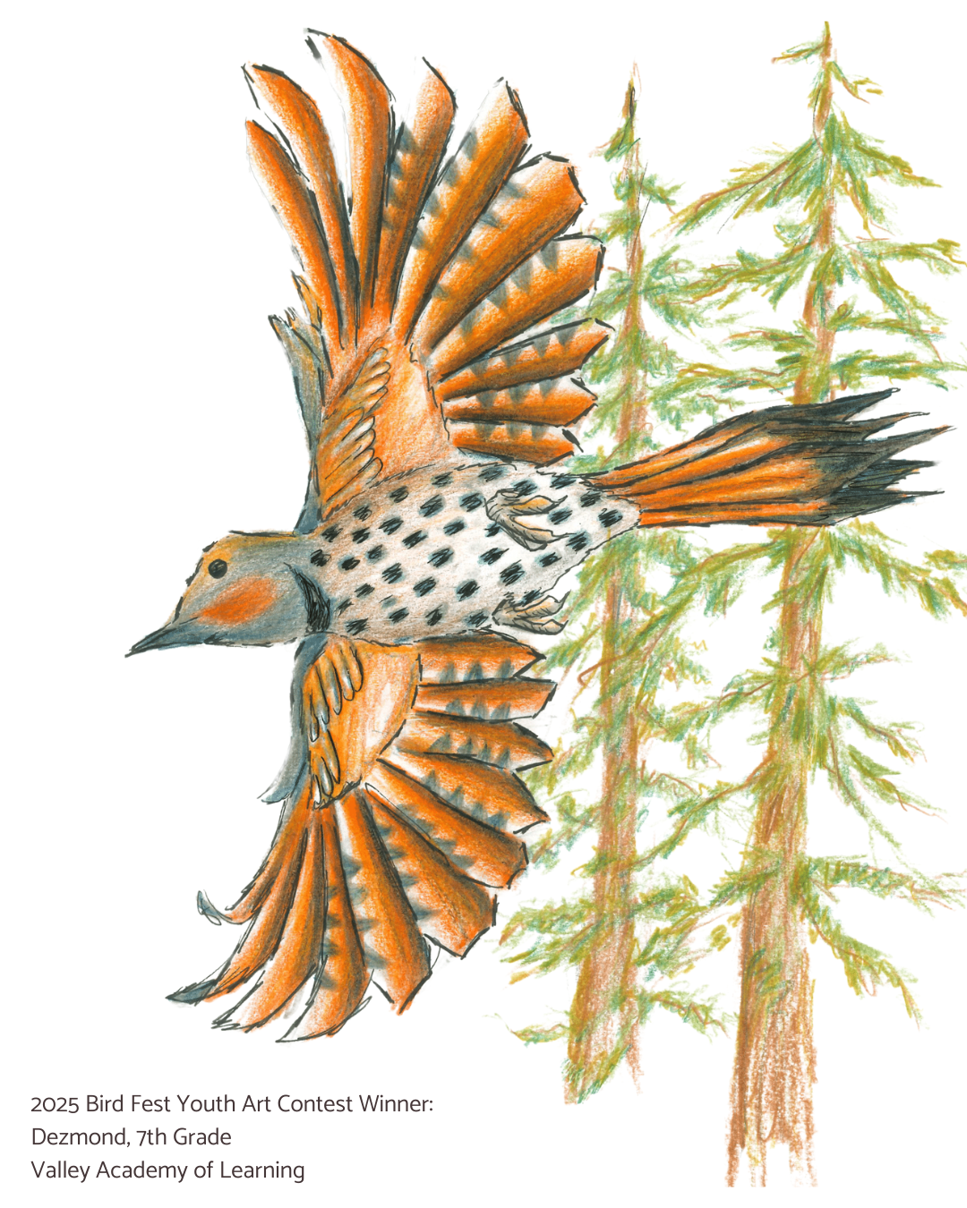 An image of a student's art piece submitted for the 2025 Bird Fest Youth Art Contest