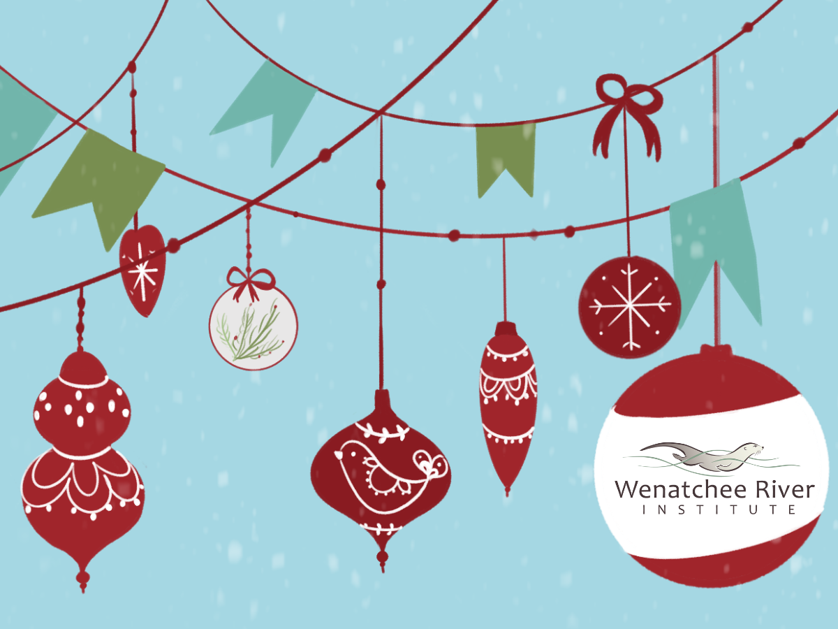 Graphic with garland and ornaments with a light blue background.