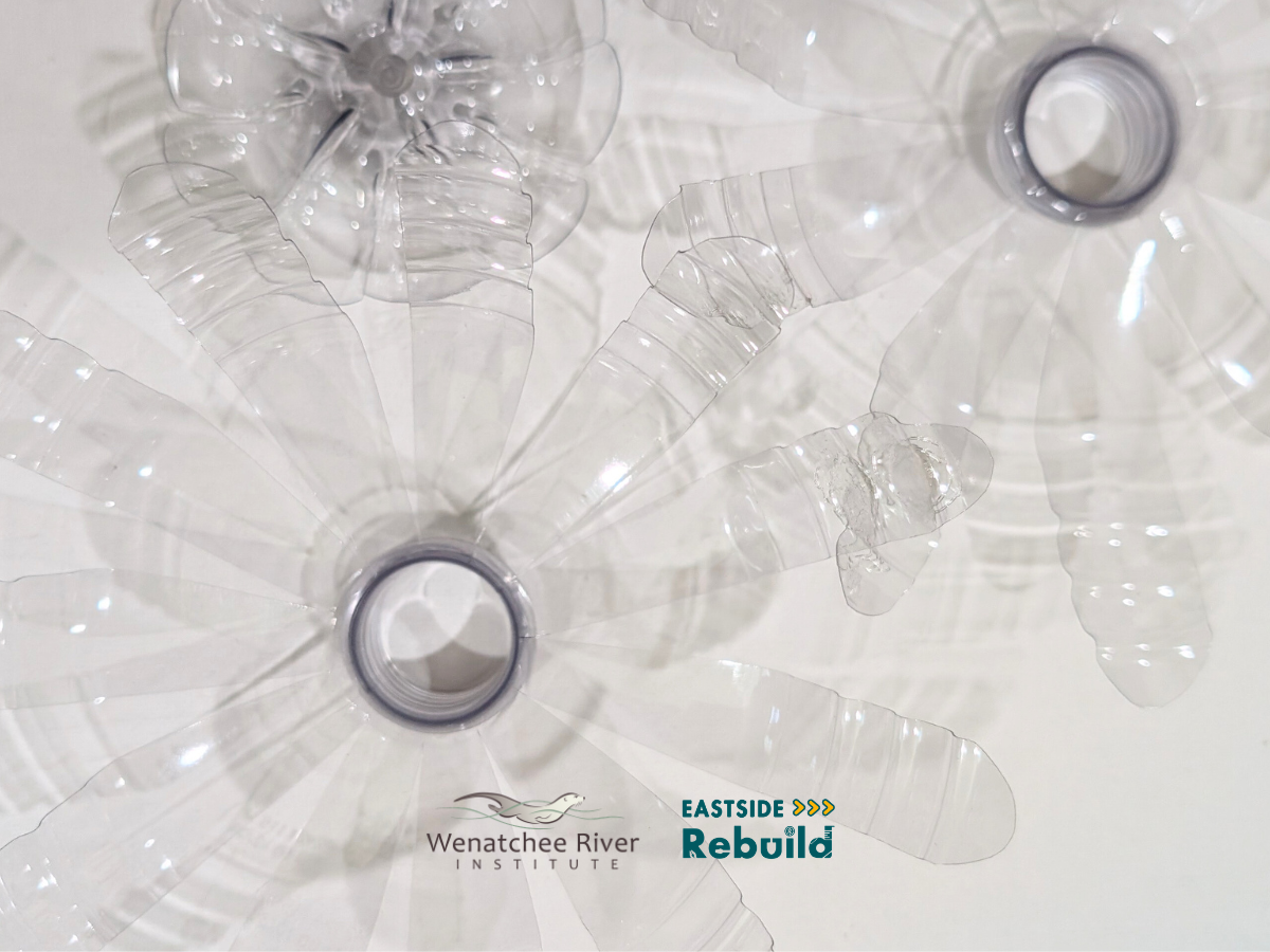 Image of plastic water bottles turned into flowers.