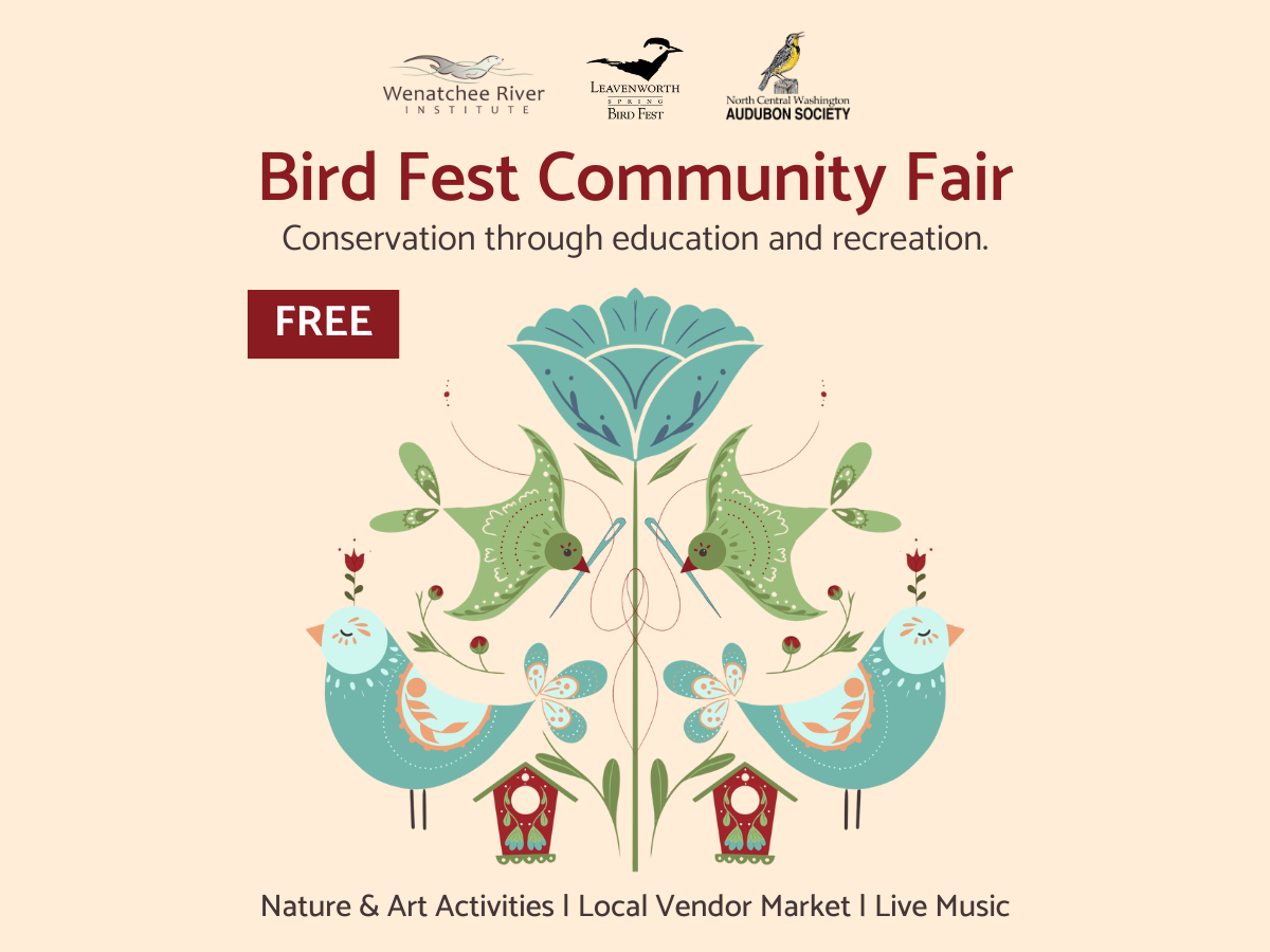Graphic with birds and flower promoting the Bird Fest Community Fair