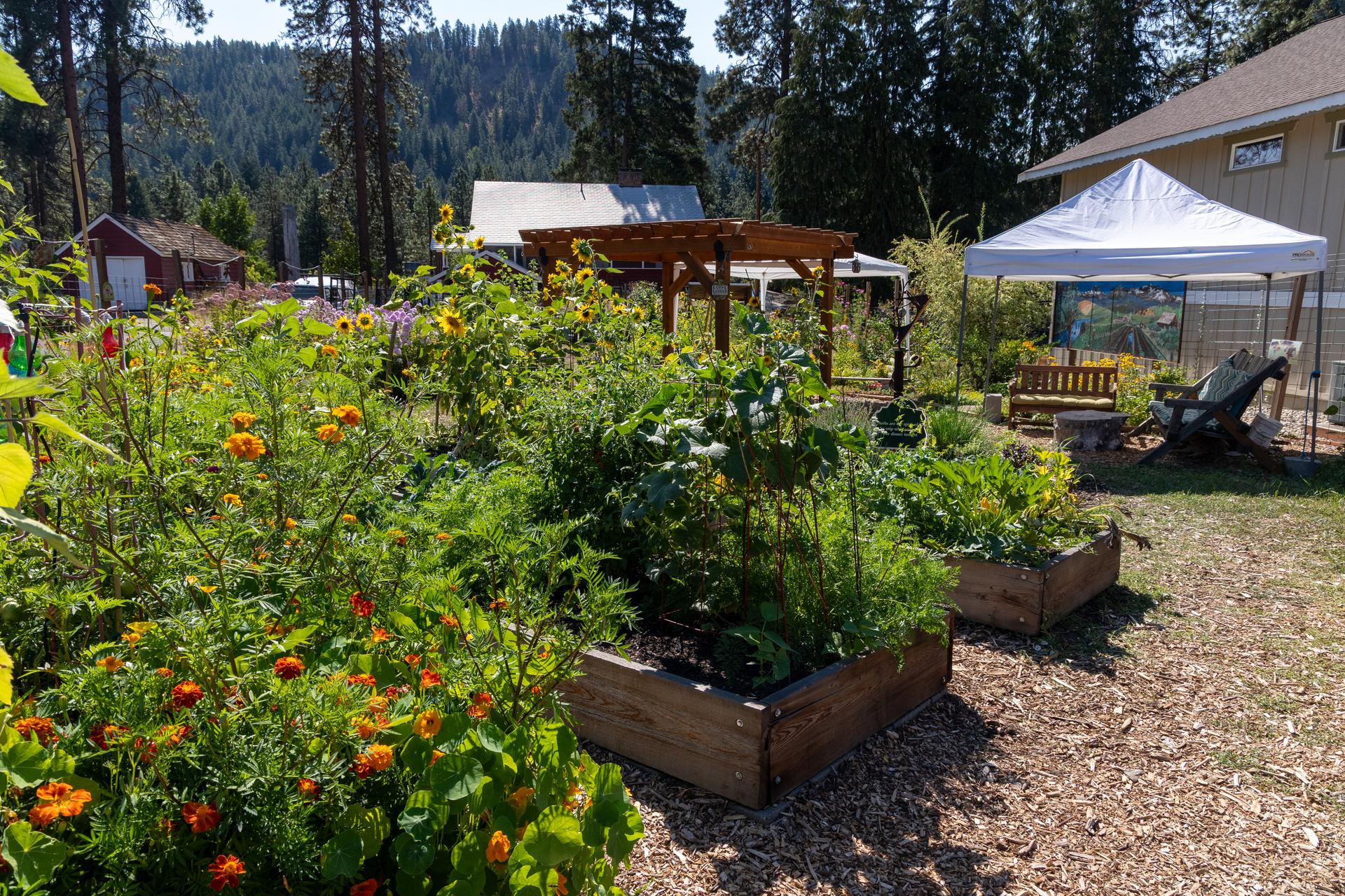 A image of wood raised beds in E. Lorene Young Community Garden.
