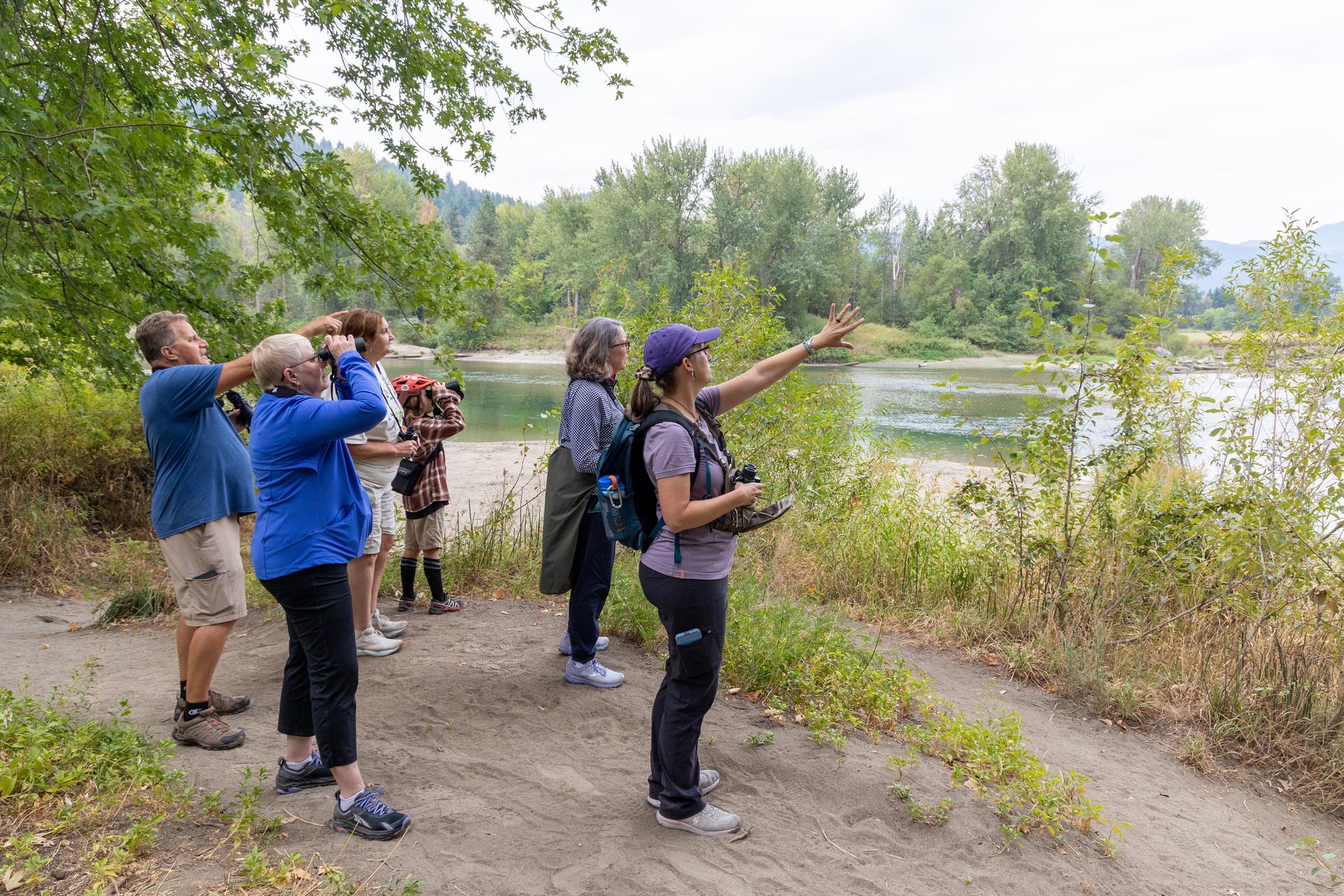 Picture of birders pointing at an Osprey and looking through binoculars