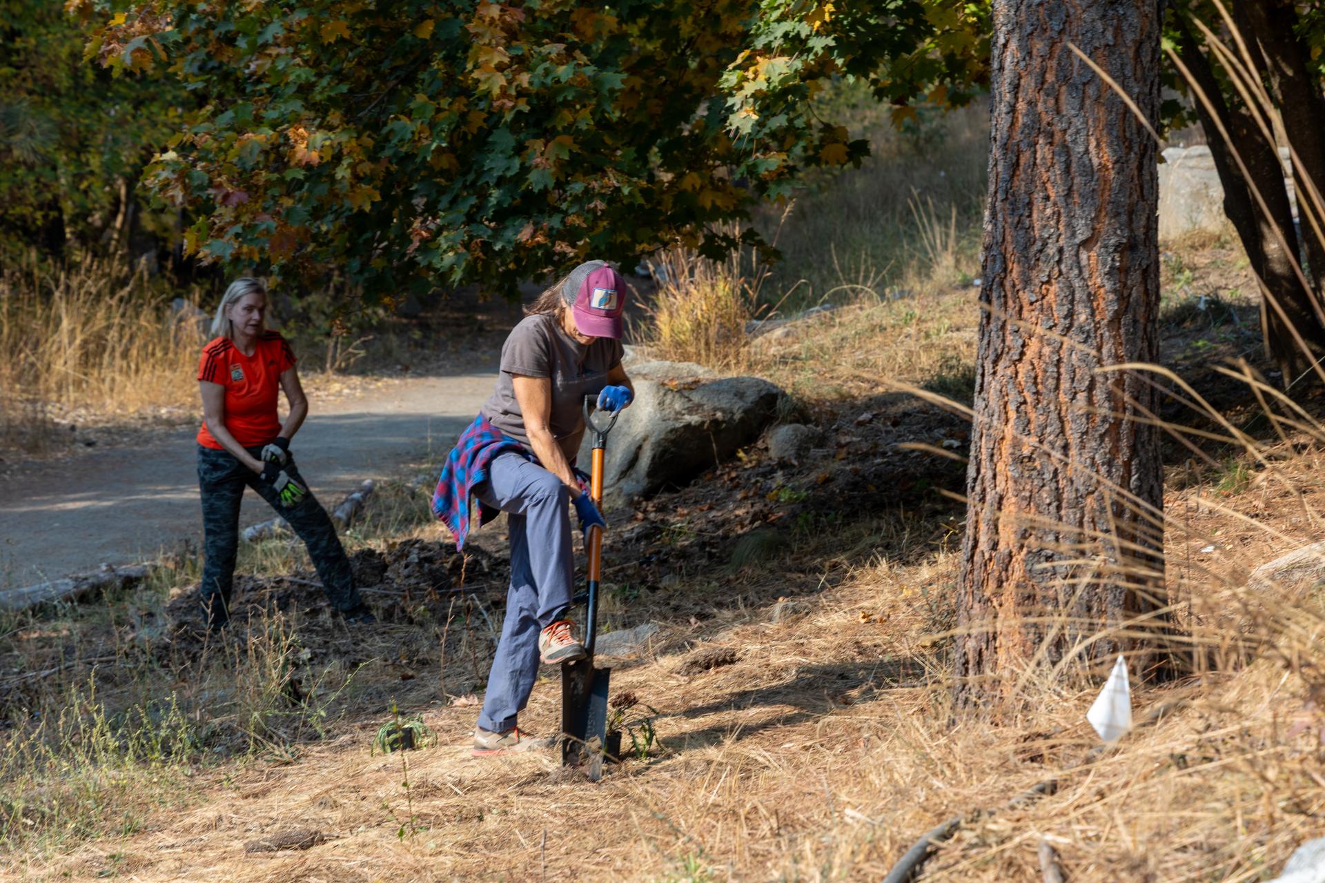A picture of two women during WRI's Bumblebee Habitat Restoration days. One woman is digging a hole with a shuffle as the other one stands in the background taking a rest.
