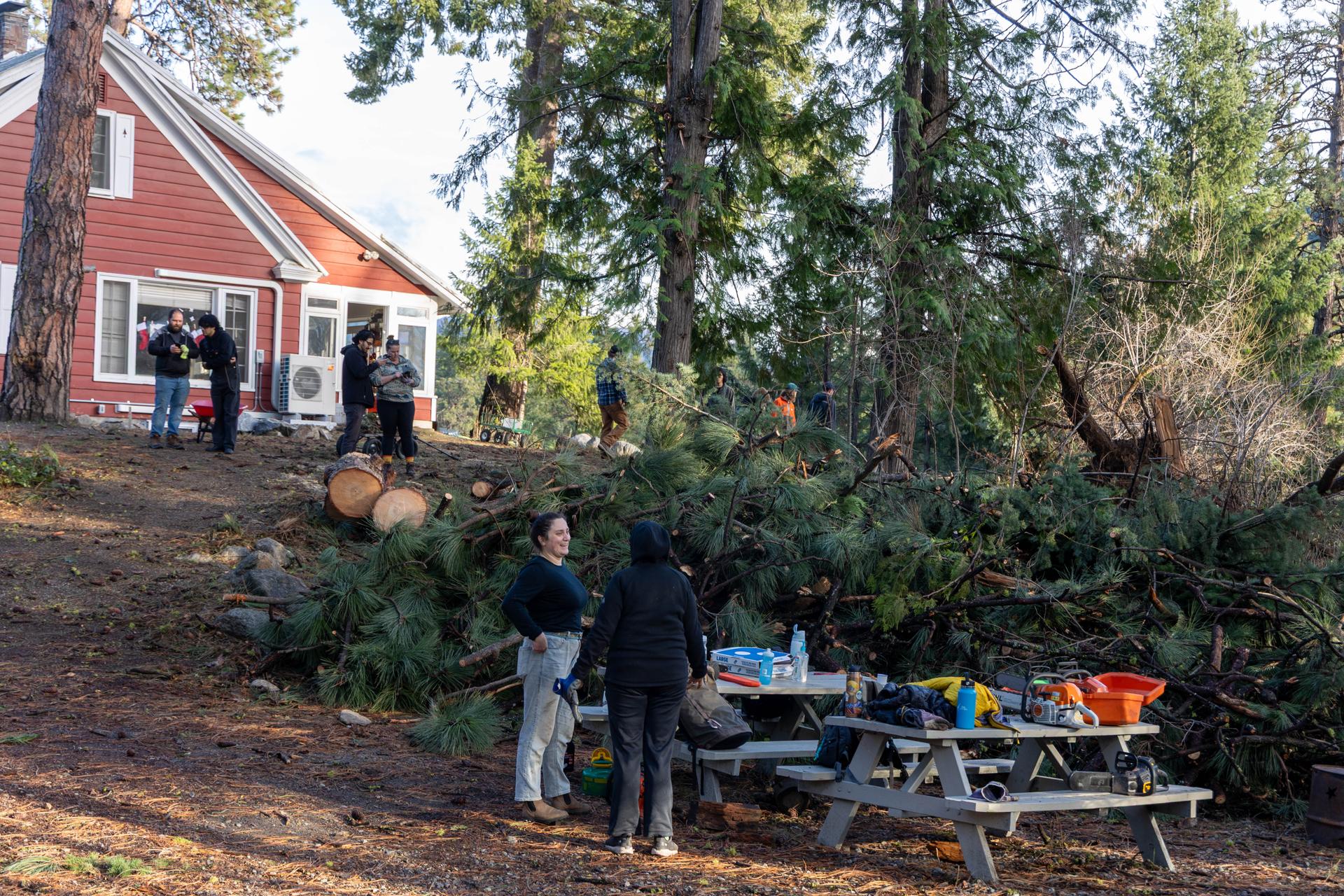 Volunteers cleaning up a fallen tree near the ELY House at WRI in December 2025.