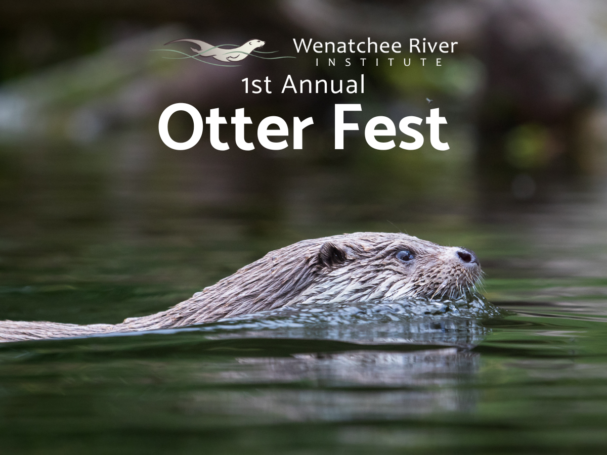 April Fool's WRI Otter Fest announcement image.