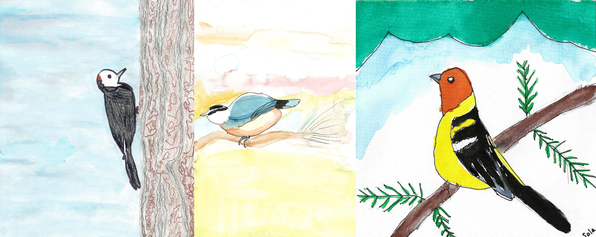Bird Fest Youth Art Contest
