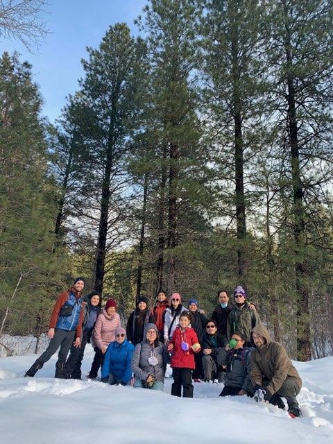 Snowshoe Strolls