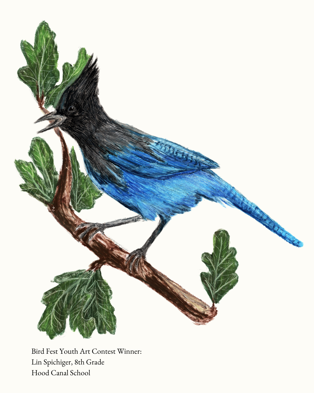 2026 Bird Fest Youth Art Contest Winner