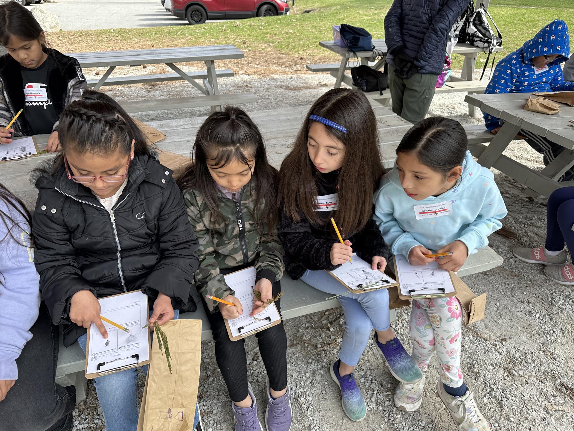 Field Day with Rock Island Elementary