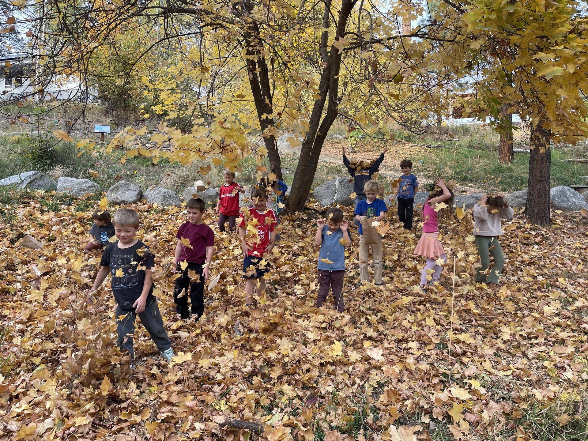 Kids from After School Programs playing in a pile of leaves.