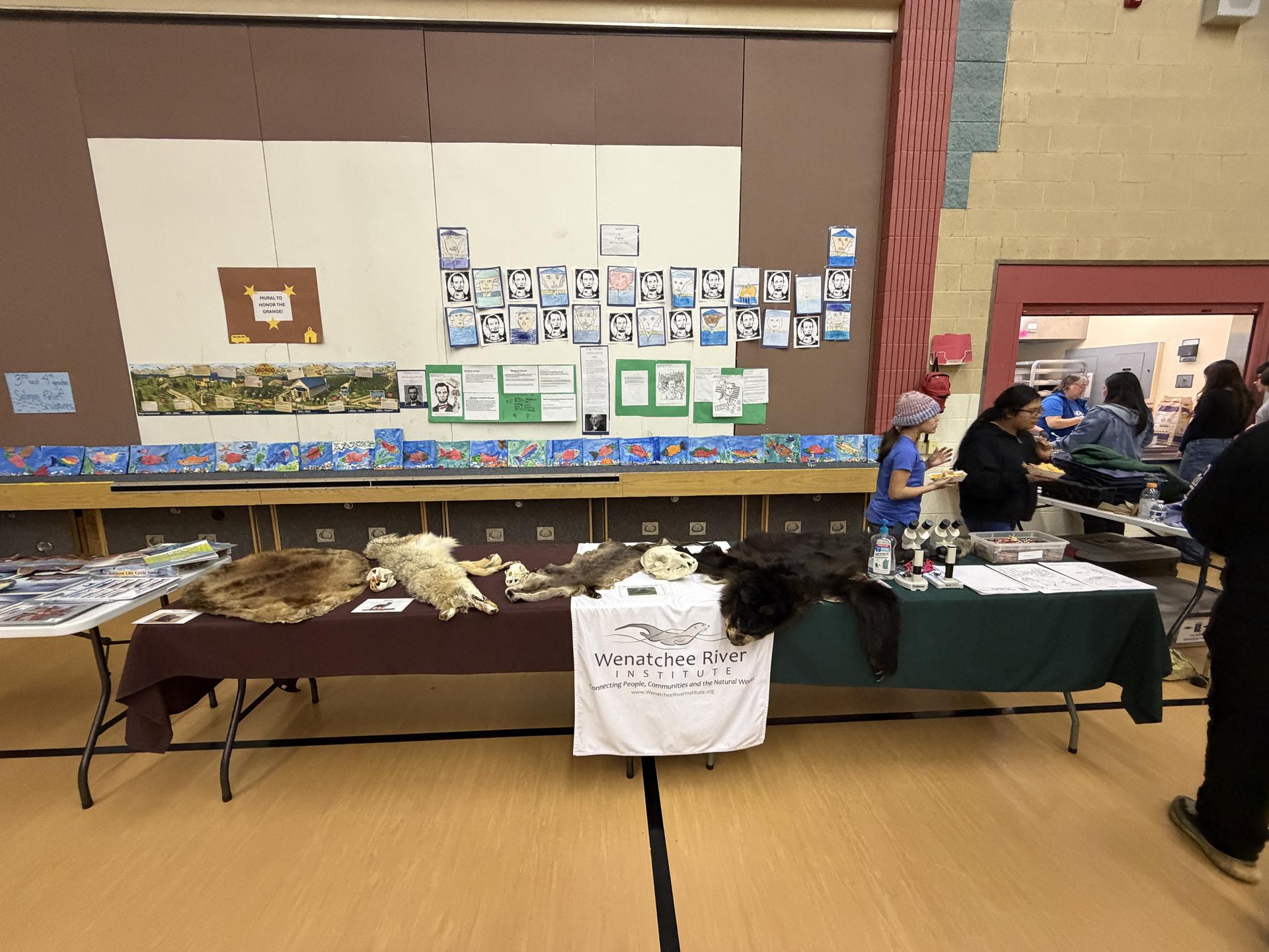 Wenatchee River Institute tabling event at a local NCW school displaying animal pelts.