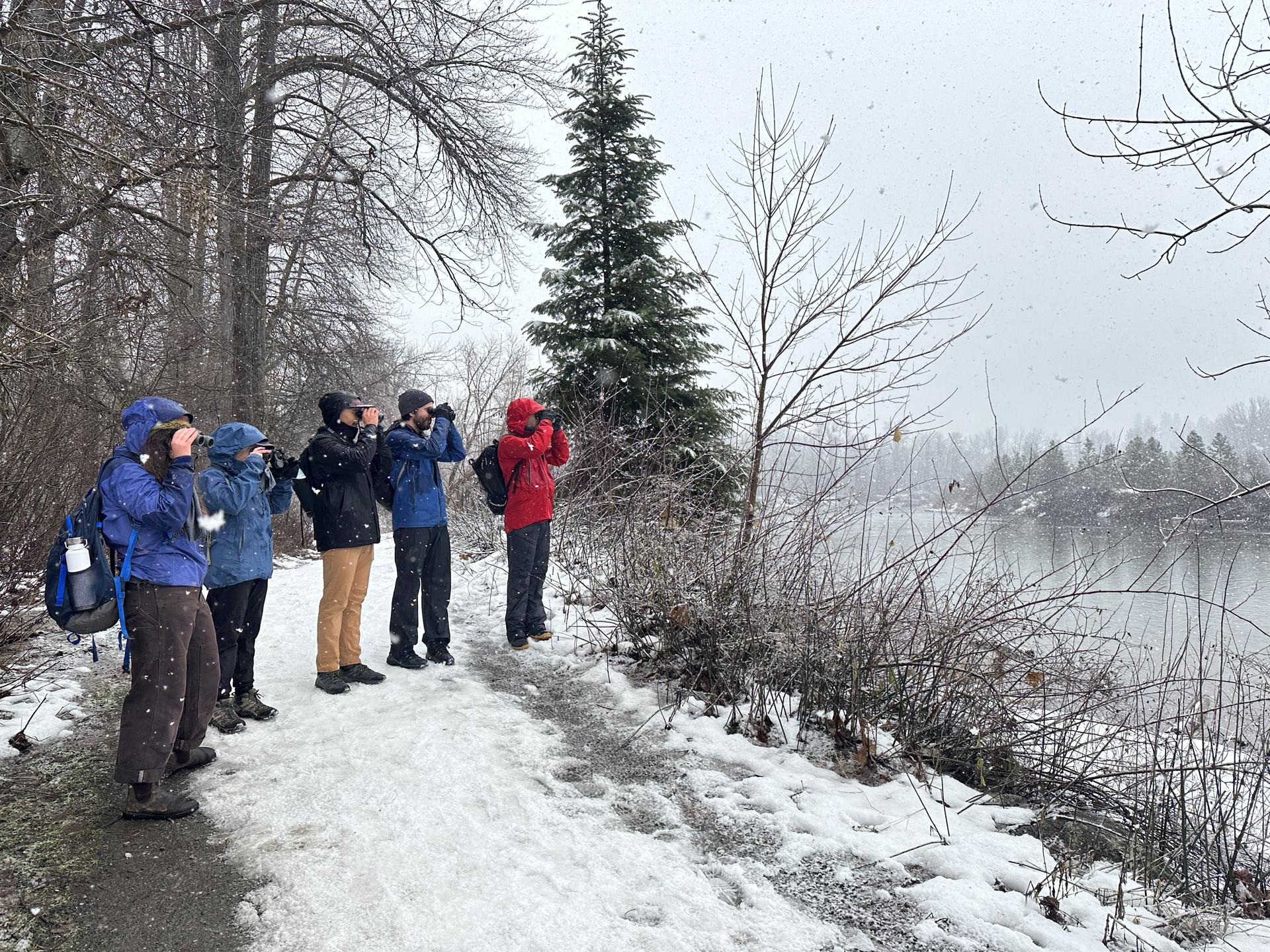 A picture of people walking a trail along the Wenatchee River with binoculars looking at wildlife with snow on the ground.