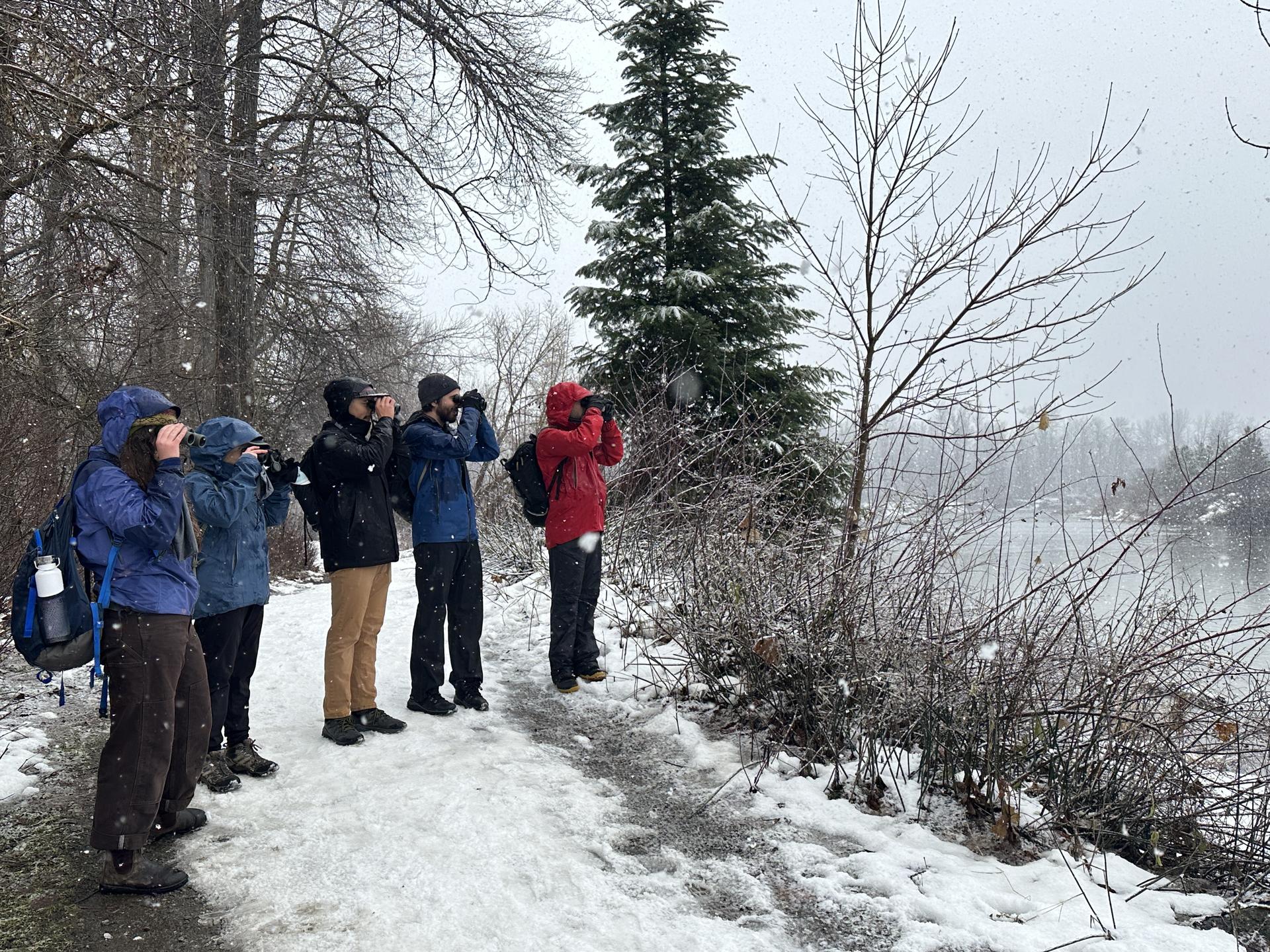 Picture of participants strolling and searching for wildlife with binoculars during a WRI event.