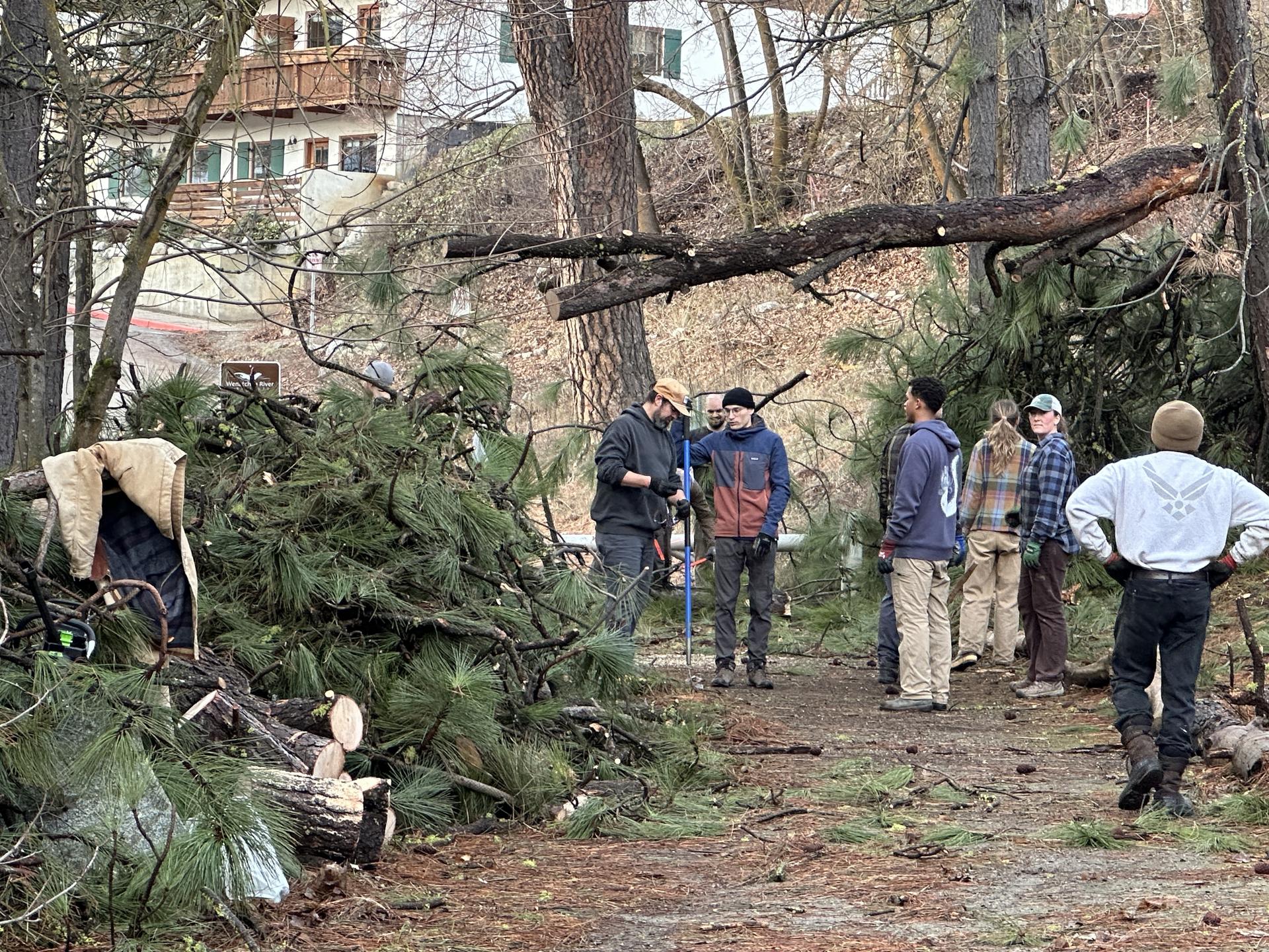 Volunteers helping with removing a tree covering part of a trail at WRI.