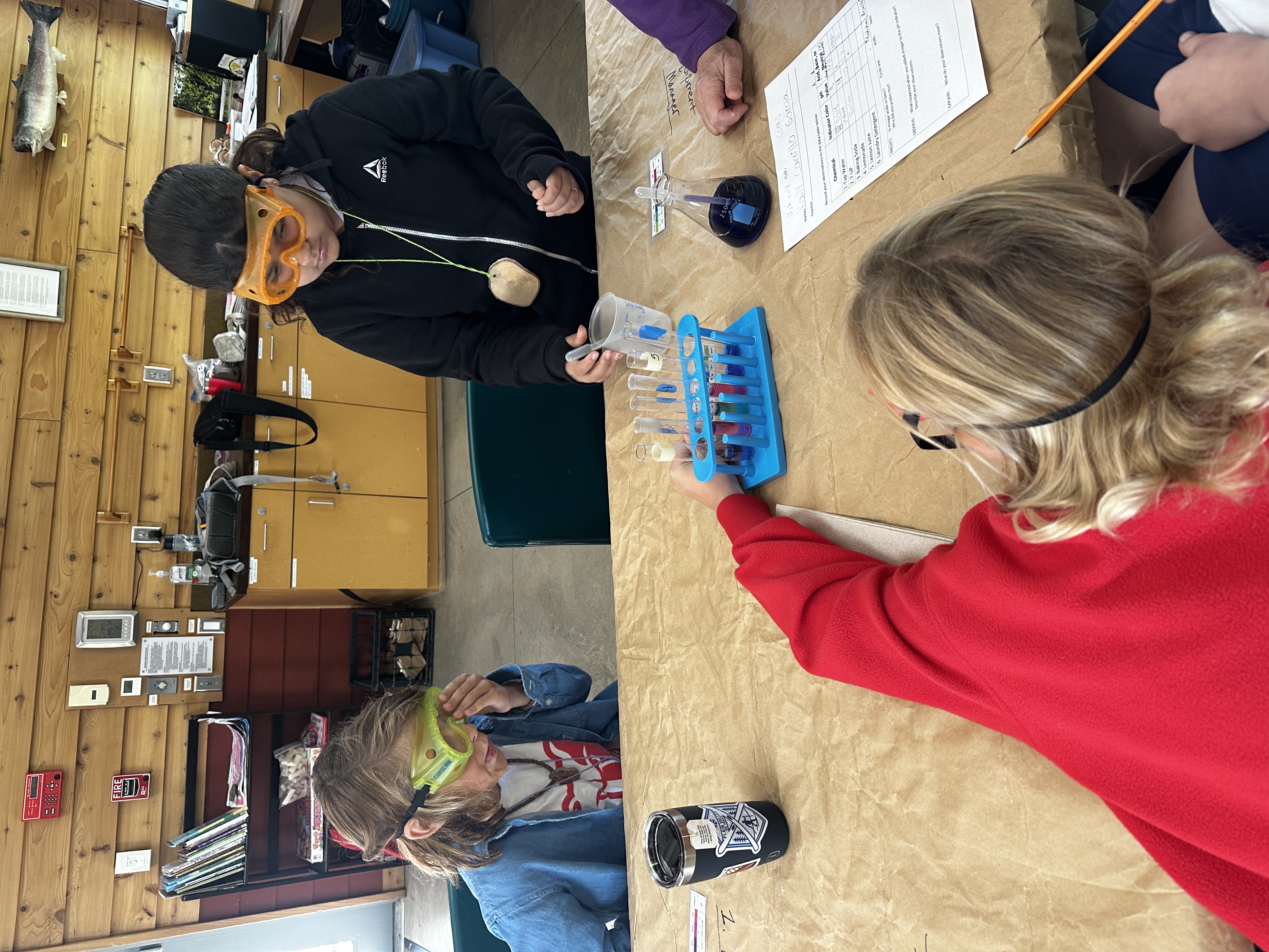 Students from Alpine Lakes Elementary 4th grade doing pH tests in the Red Barn using a cabbage solution.