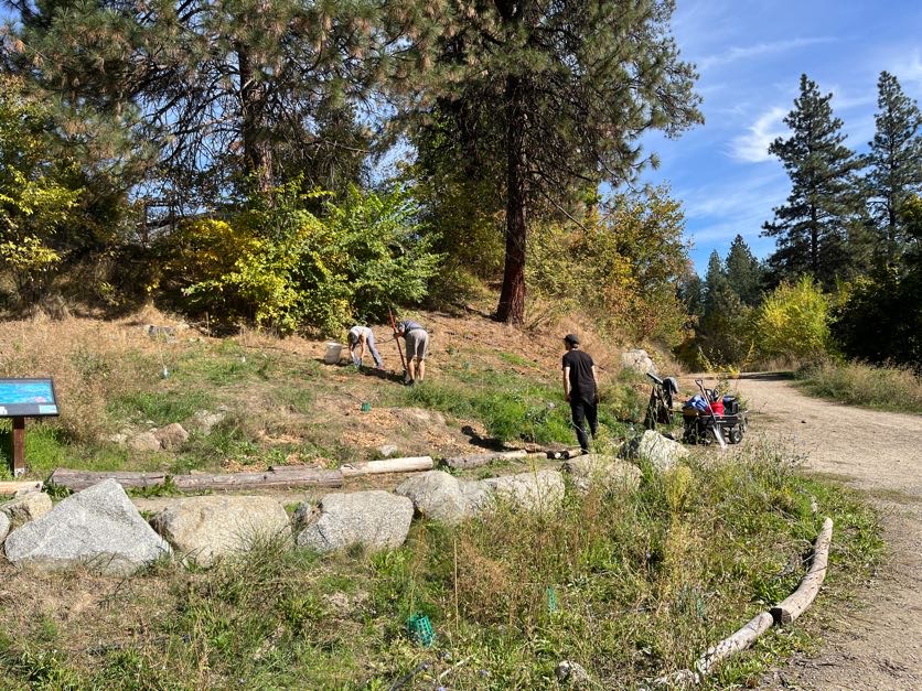 Volunteers planting native plants in the Native Plant Garden.