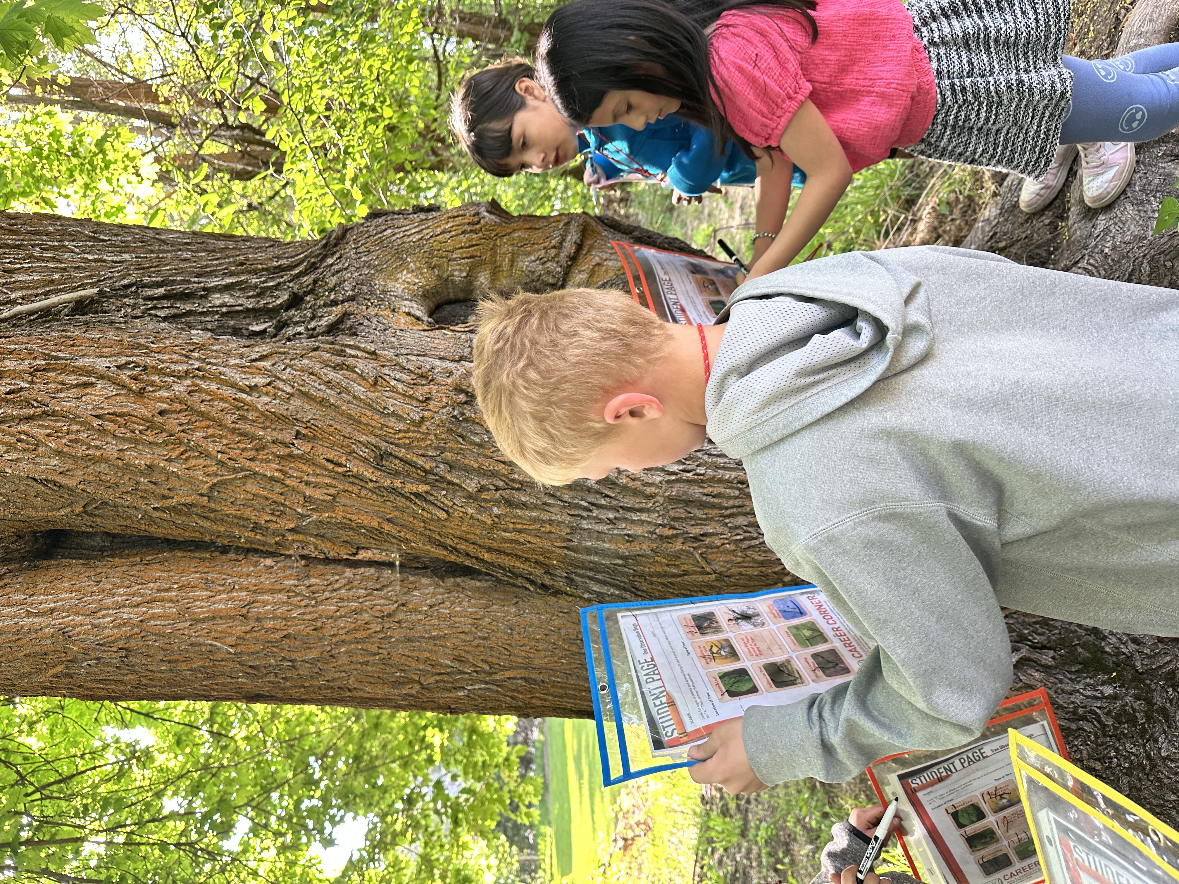 Three second grade students on a Field Trip playing Habitat Detectives with Wenatchee River Institute.