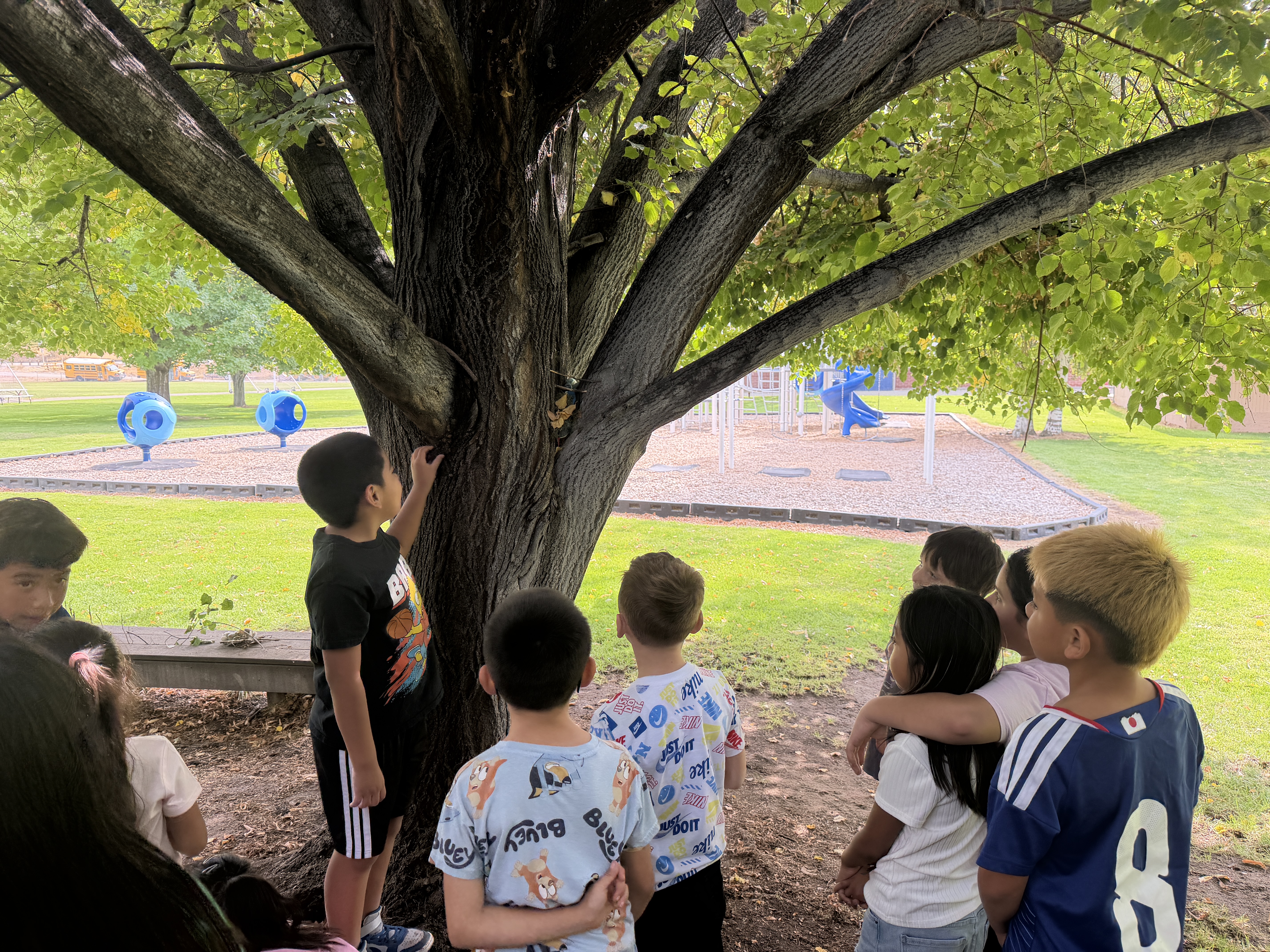 Orondo After School Program looking at a tree with WRI Educators leading an activity.