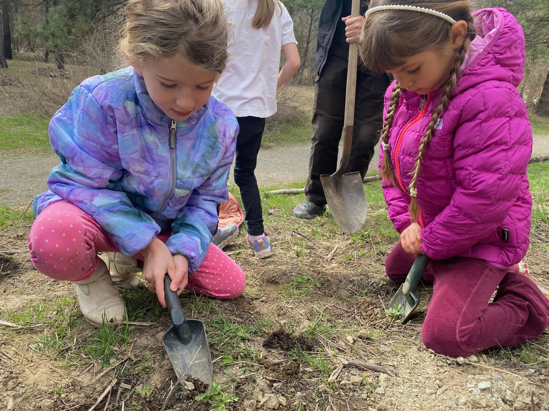 2025 WRI Spring Break Camp children digging in holes in the ground to plant seeds. 