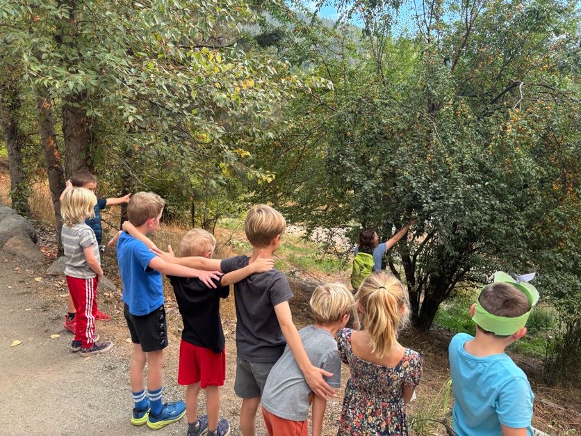 An image from After School Programs of students watching an educator teach about trees with kids standing in a line with arms around shoulders.