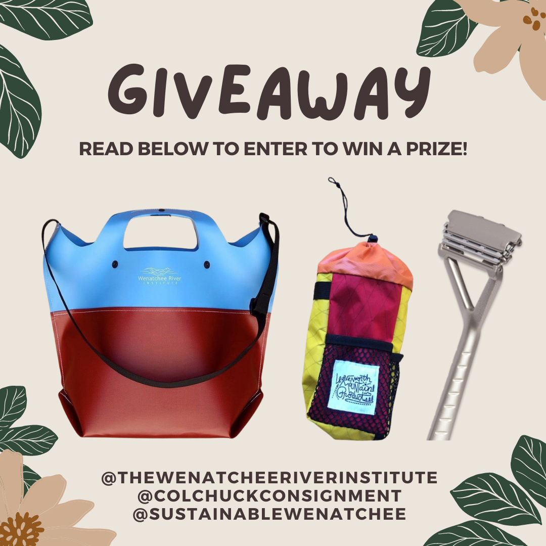 Instagram Giveaway