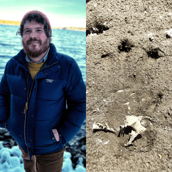 Intro to Wildlife Tracking Class