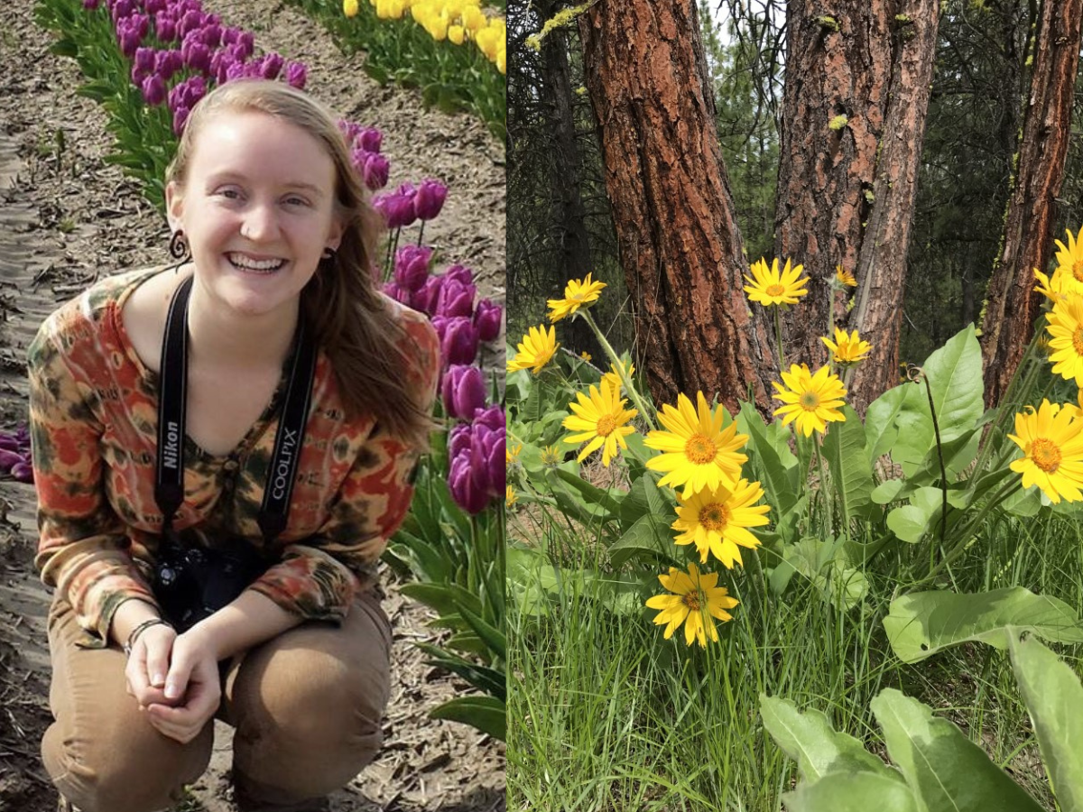 Medicinal Plant Workshop