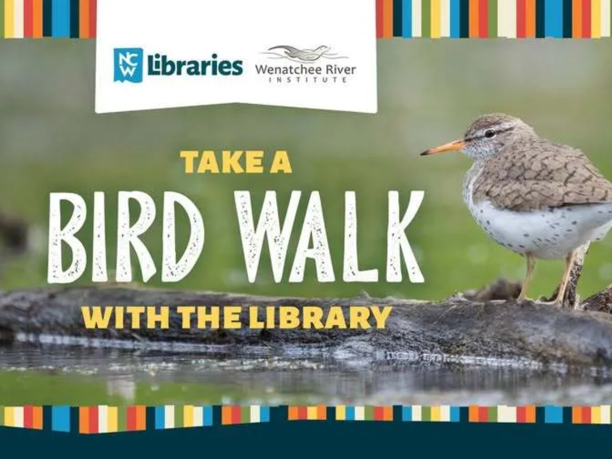 A graphic promoting a WRI and NCW Libraries bird walk event.