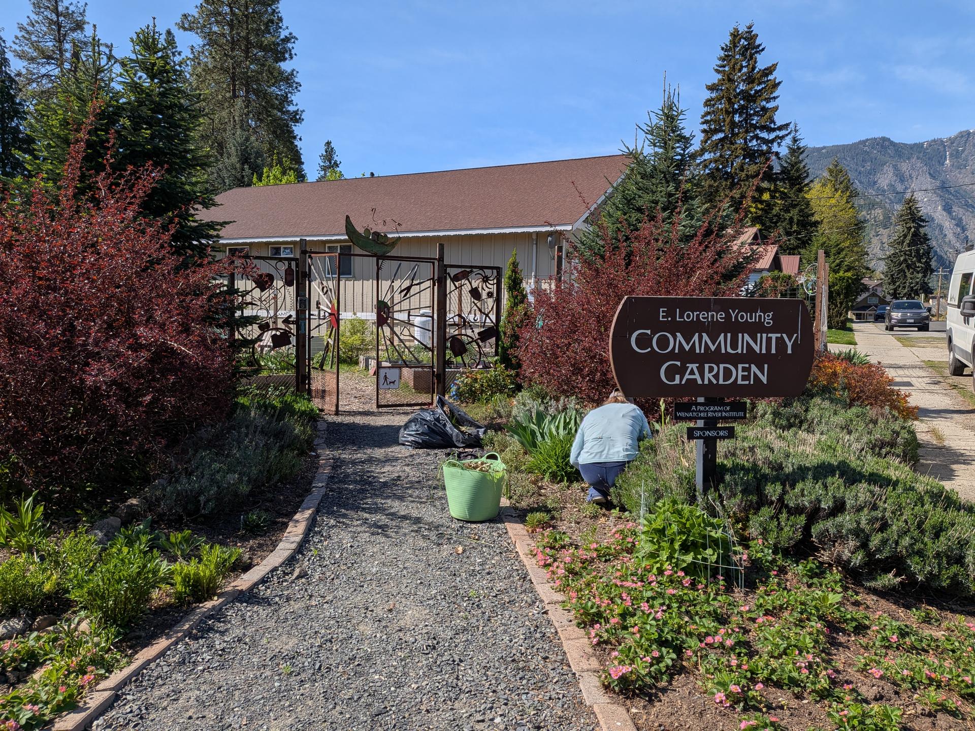 Cascade Garden Club tending to the Community Garden.