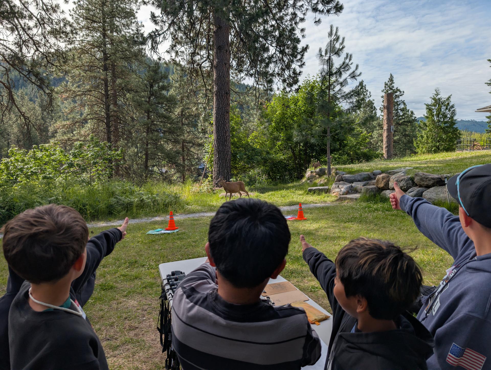 Students from Vale Elementary pointing at a doe and its fawn.