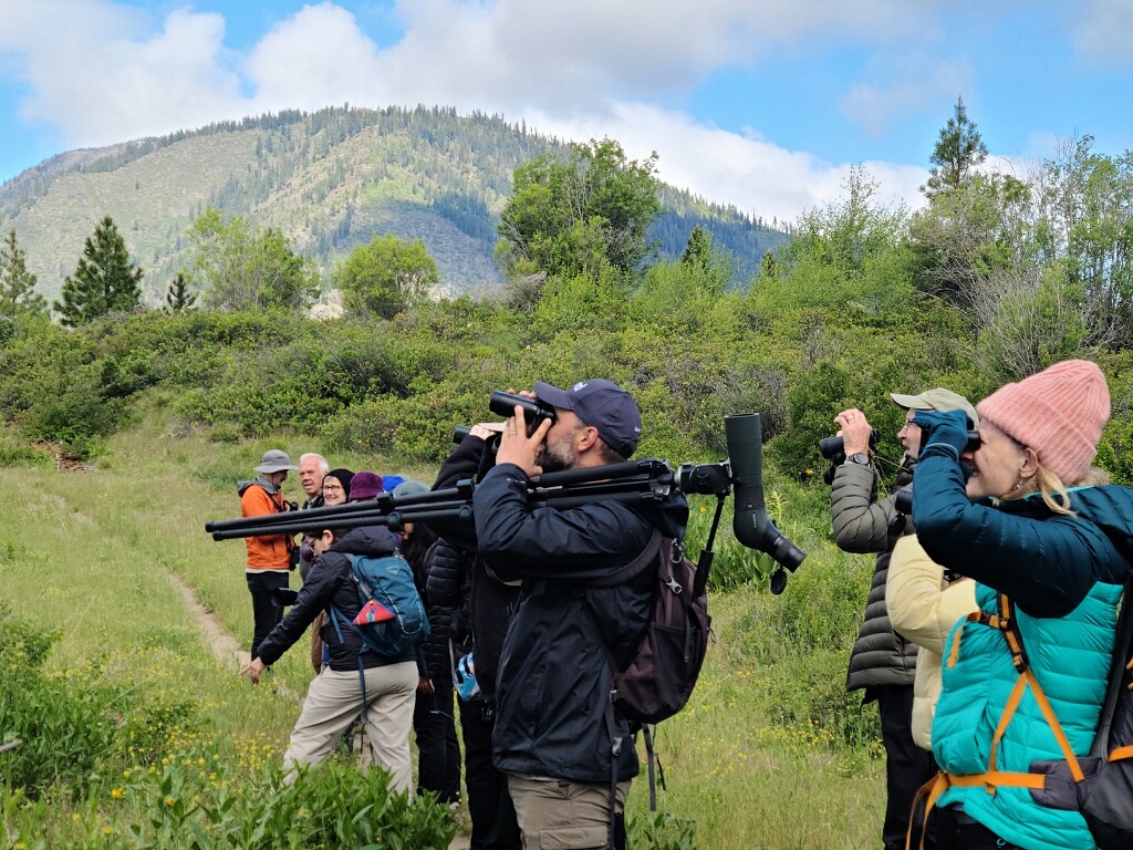 Photo of birders during a Field Trip for 2026 Leavenworth Spring Bird Fest.