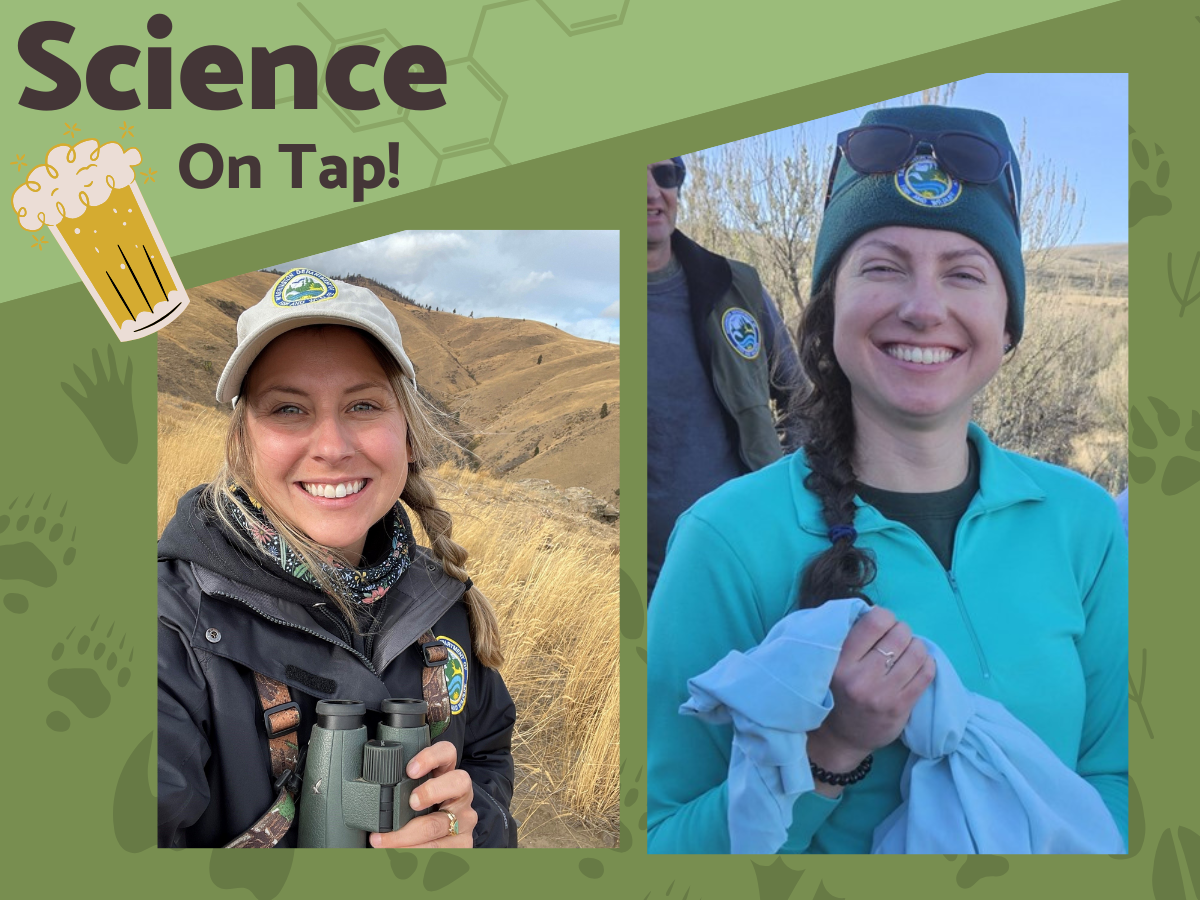Two pictures of women smiling on a green background