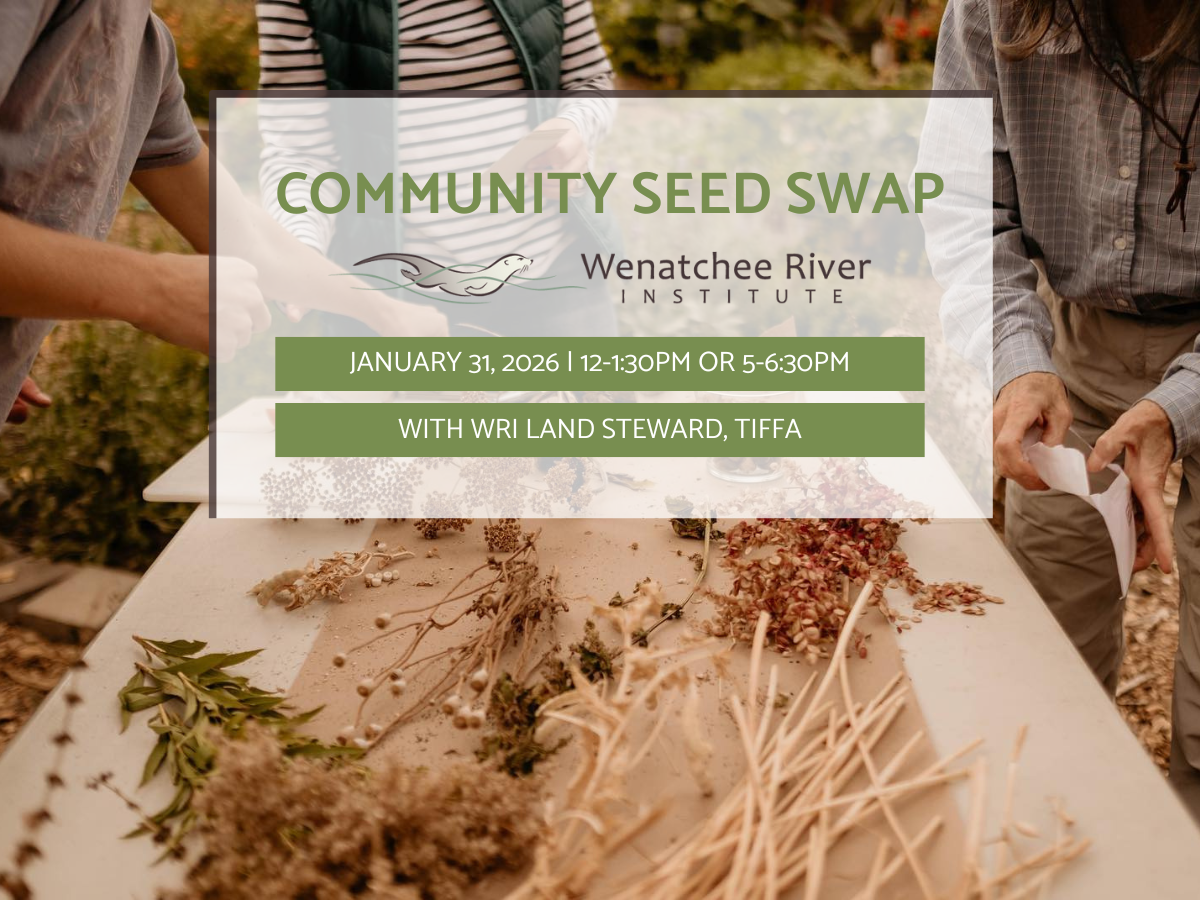 An image of people gathering seeds with a graphic overlayed with details on the event