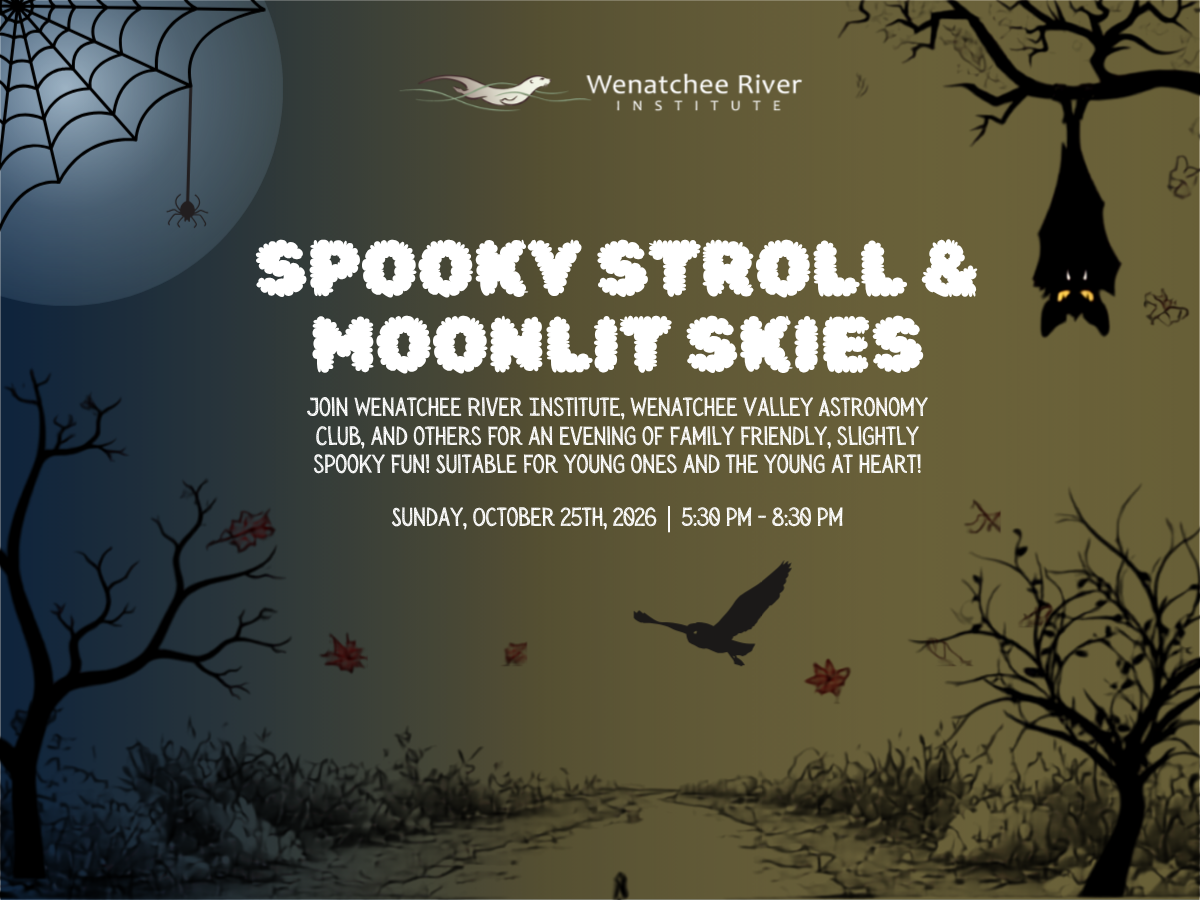 Spooky Stroll & Moonlit Skies event image with trees, a path, bats, and a spider with its web.