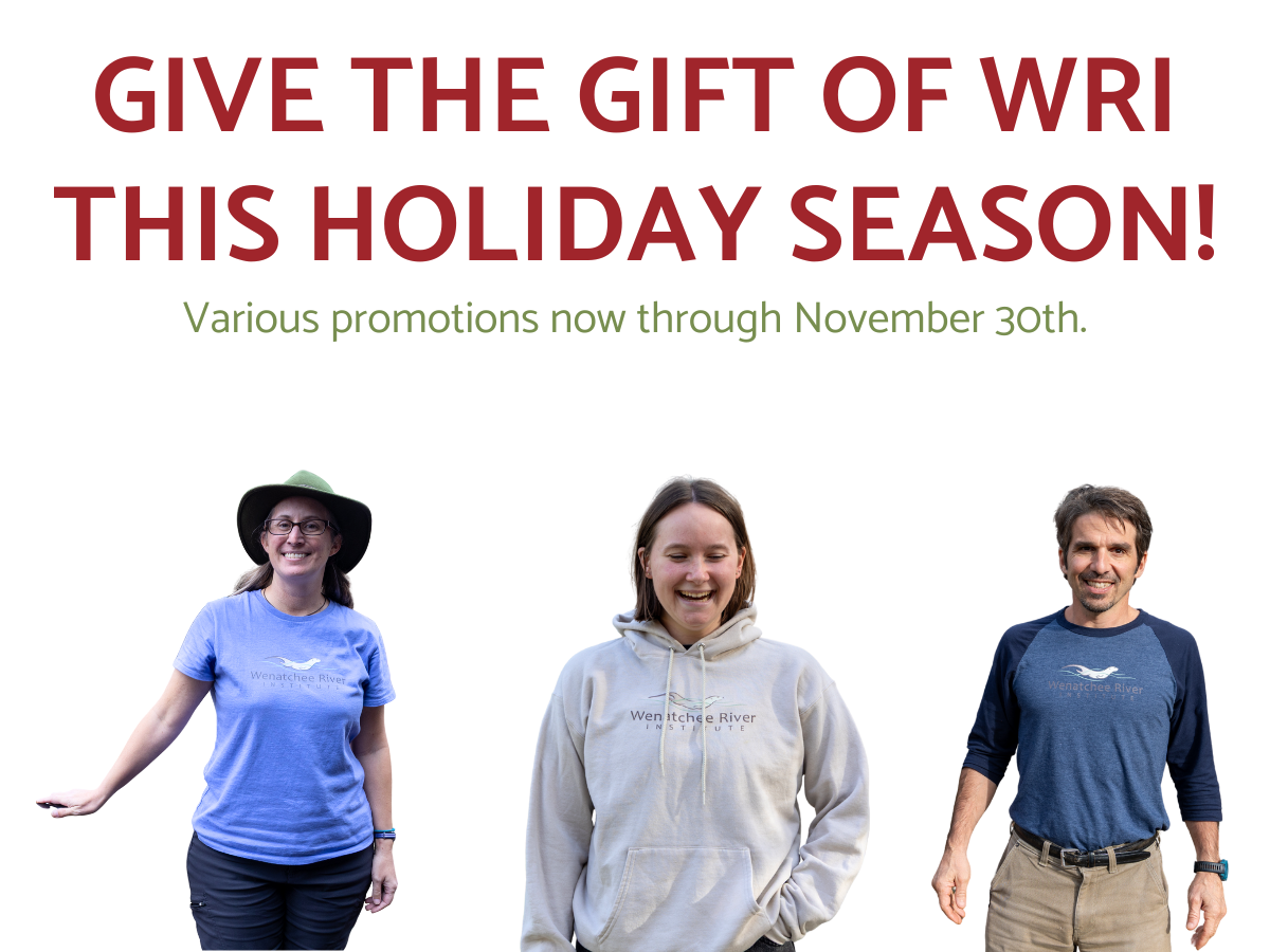 A graphic with WRI staff wearing WRI merchandise and promoting the store for holiday shopping.