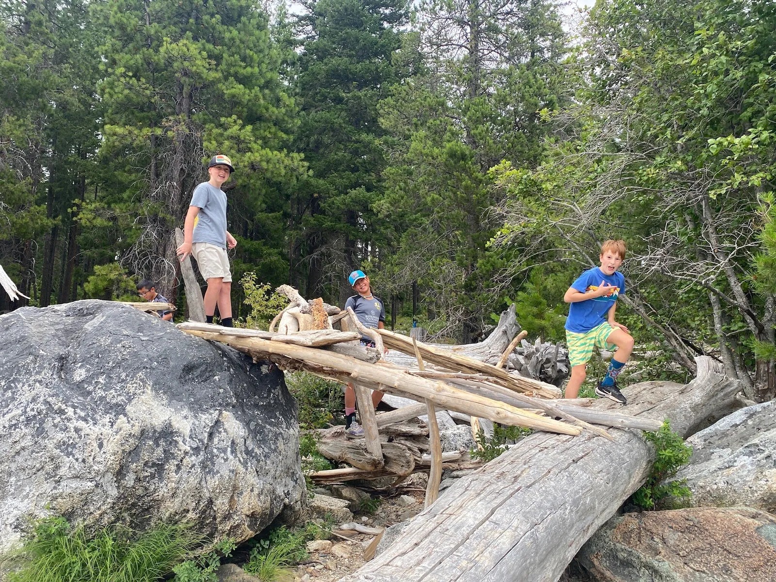 WRI Summer Camp of kids playing on trees and rocks outside.