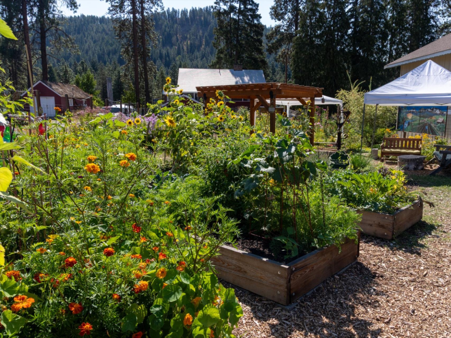 A image of wood raised beds in E. Lorene Young Community Garden.