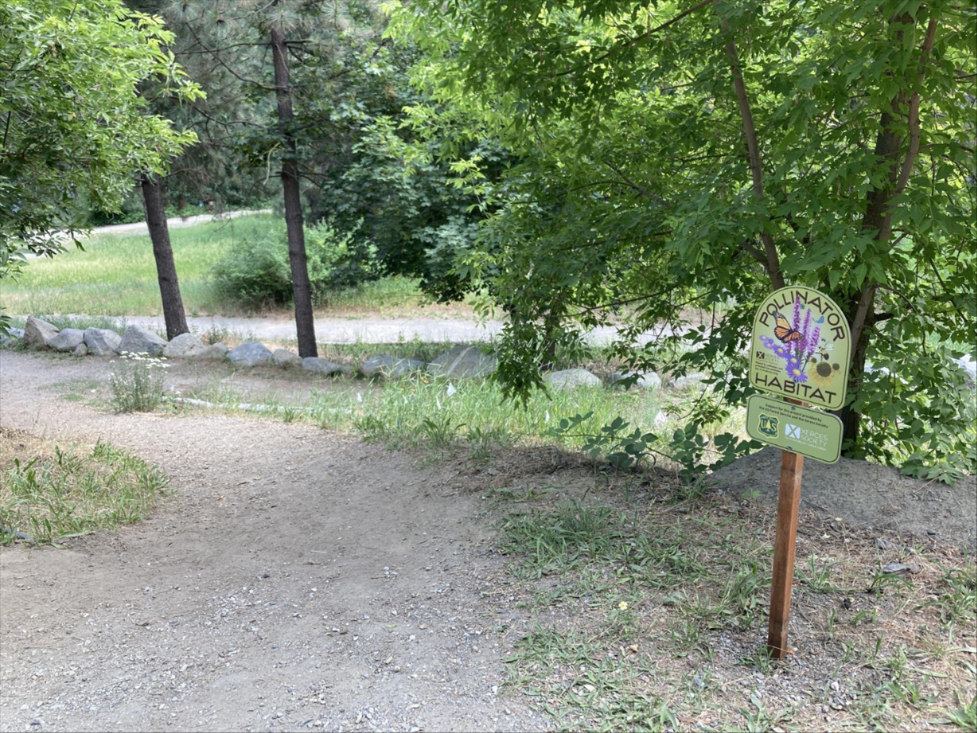 A image of wood raised beds in E. Lorene Young Community Garden.