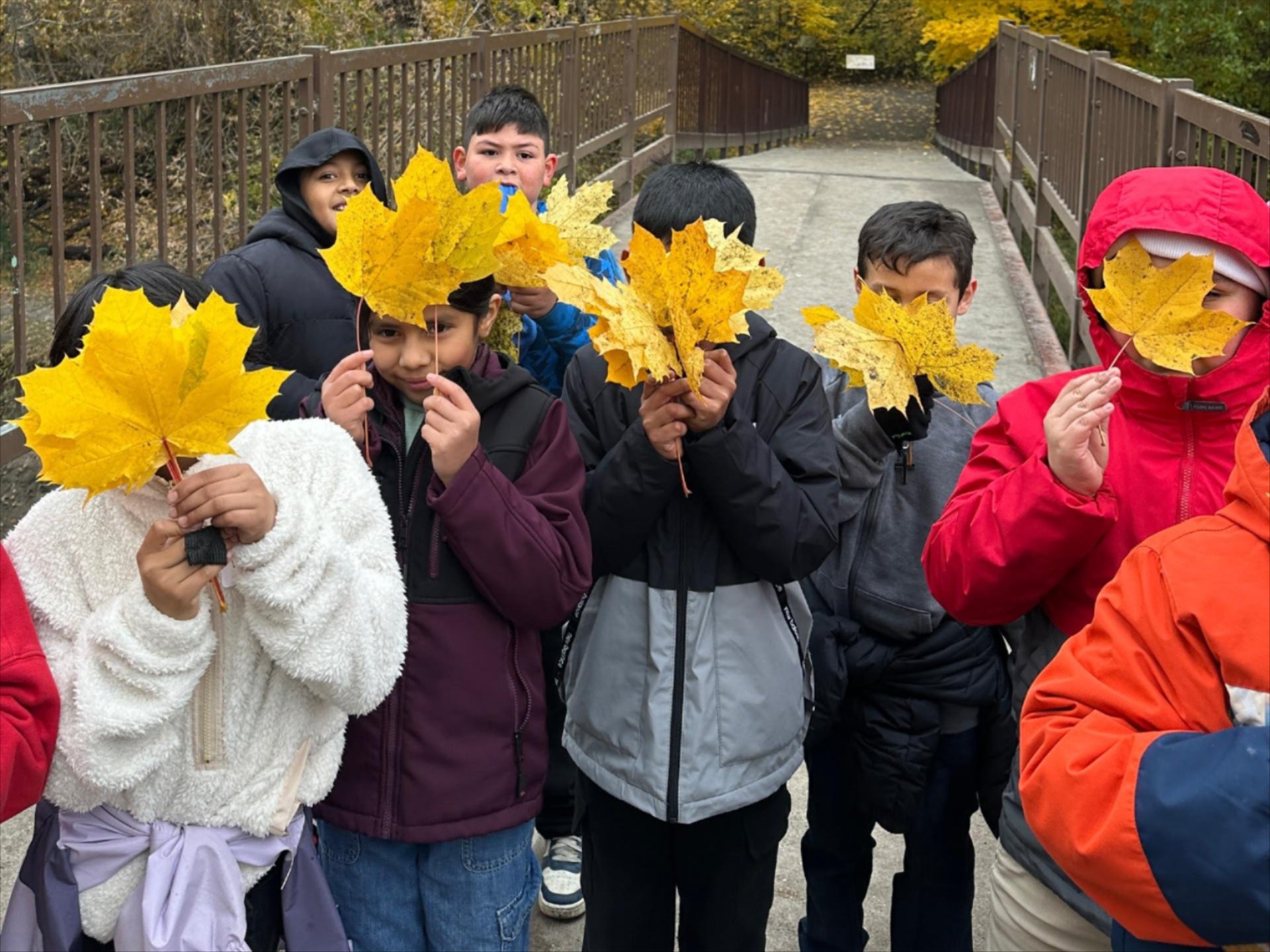Image of 4th grade students standing on a bridge holding leaves in from of their faces.