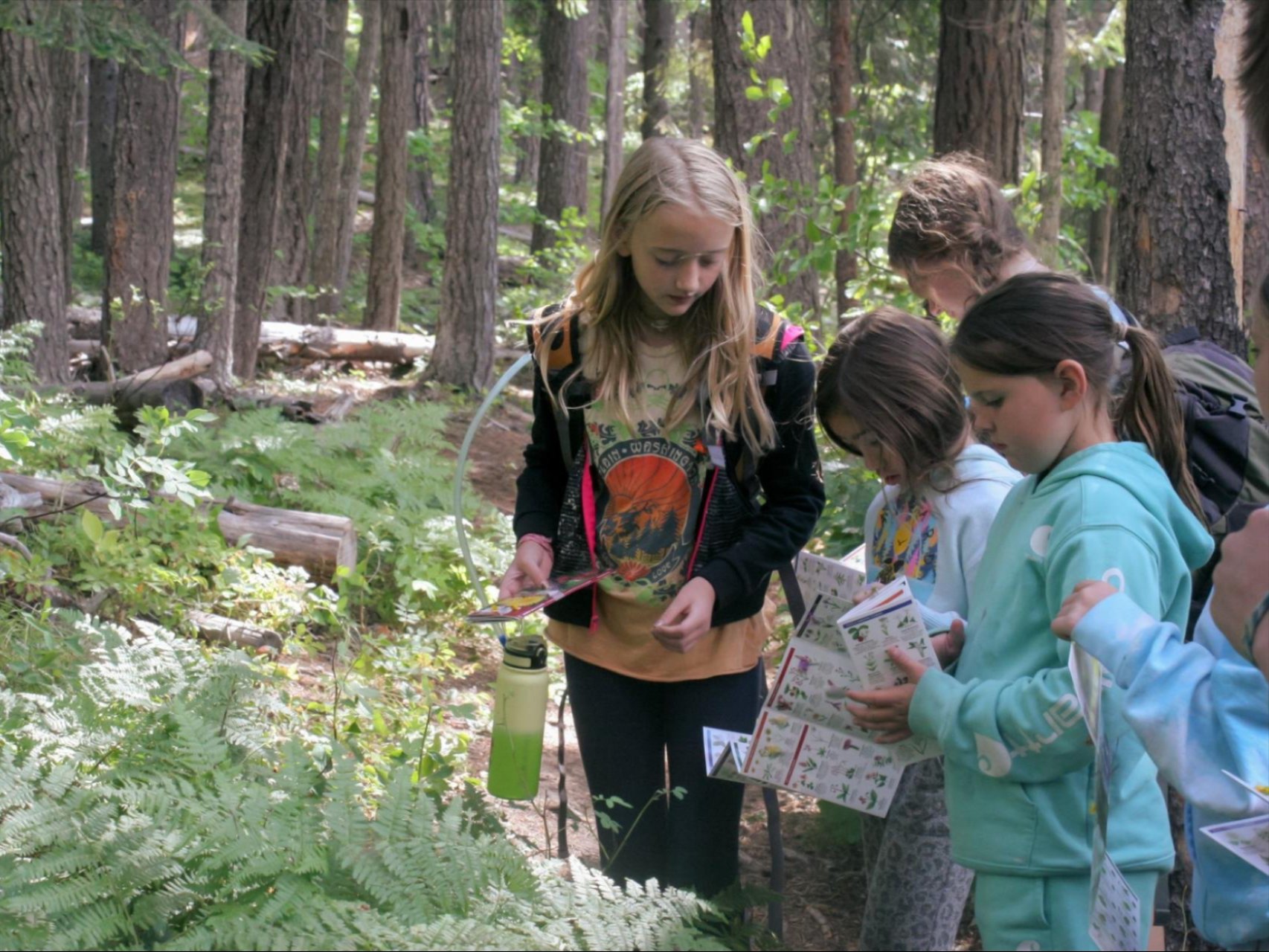 YMCA Lake Wenatchee Camp kids identifying plants around a hiking trail in the woods.