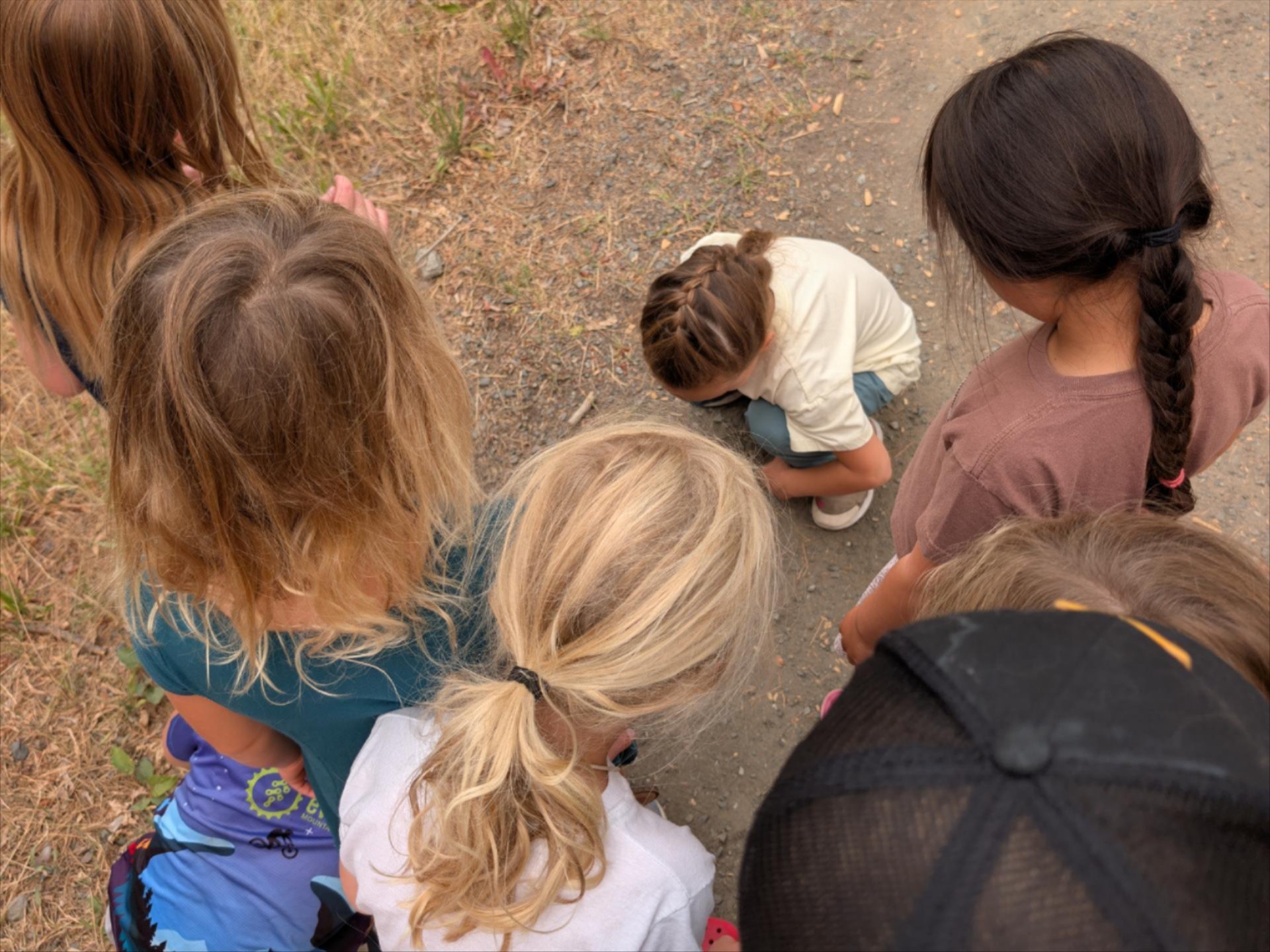 WRI Forest Friends campers looking at something on a path. One camper squatted down to get a better look when others are watching.