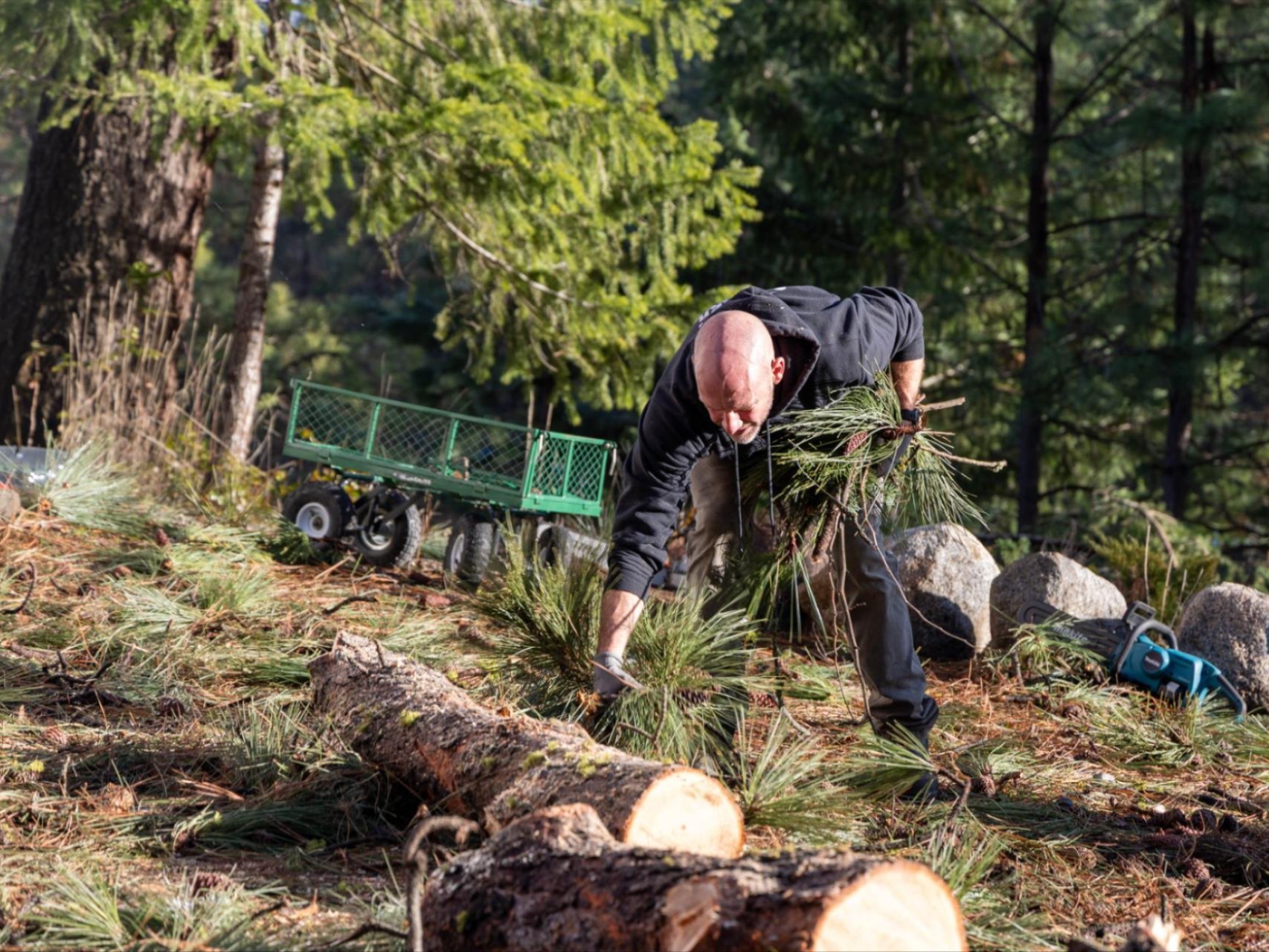 Volunteer collecting tree debris on the WRI campus in December 2025.