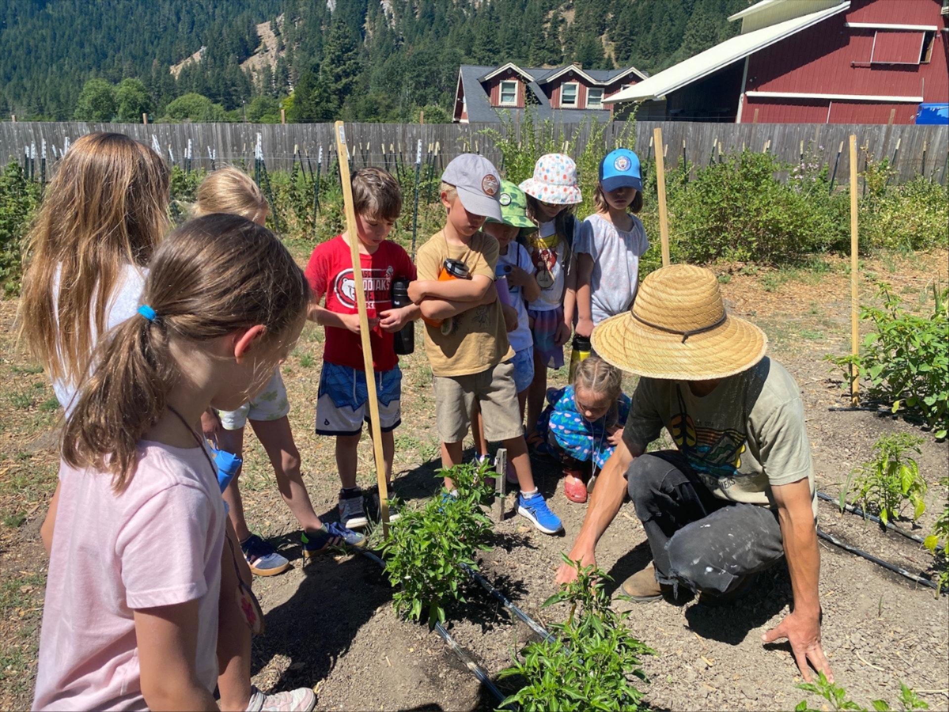 Soil to Snack youth summer campers learning about plants at a garden from a farmer.