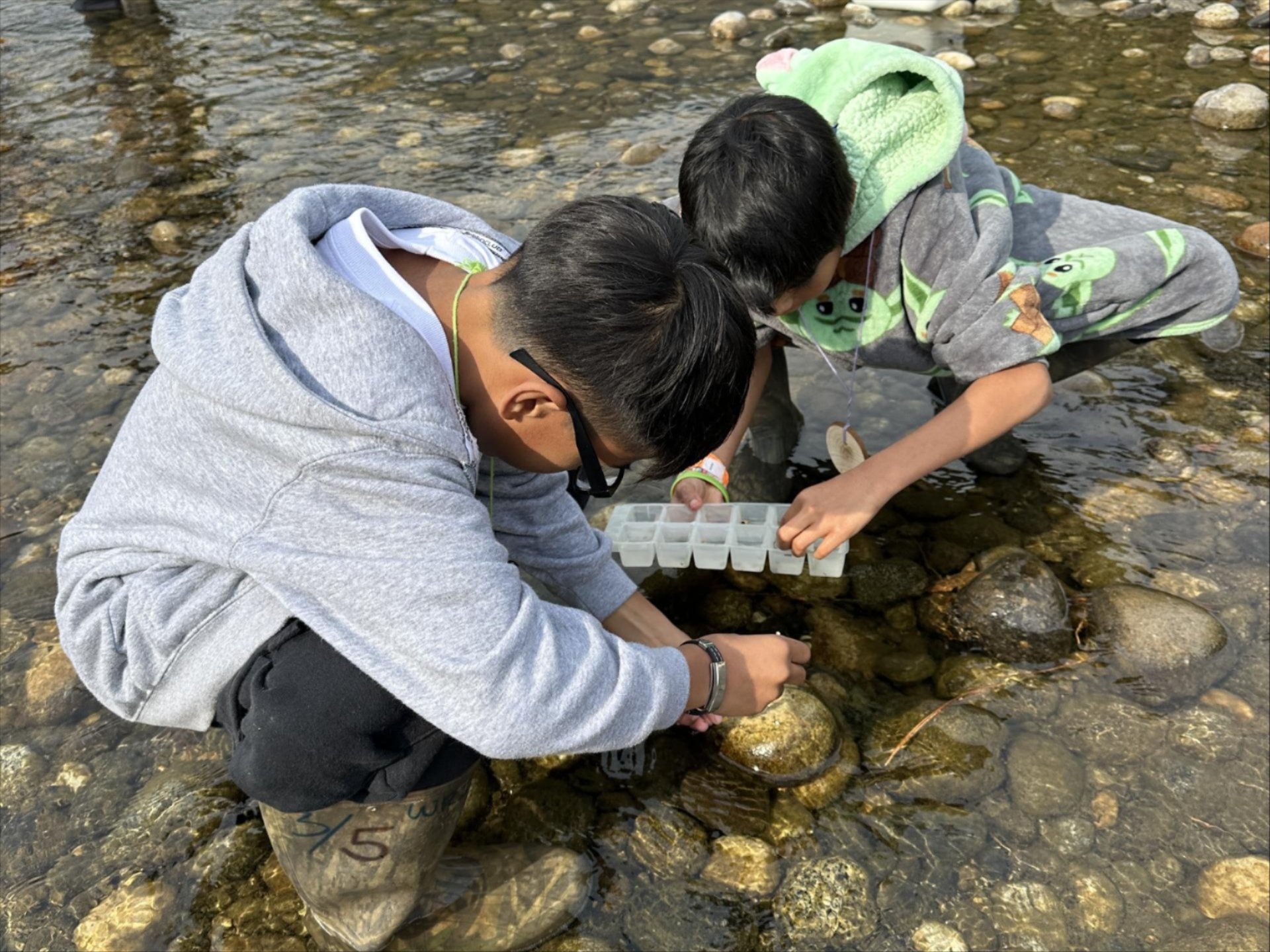 A picture of two boys testing water of the Wenatchee River.
