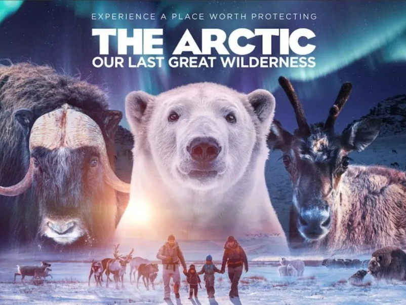A graphic of the The Arctic: Our Last Great Wilderness film.