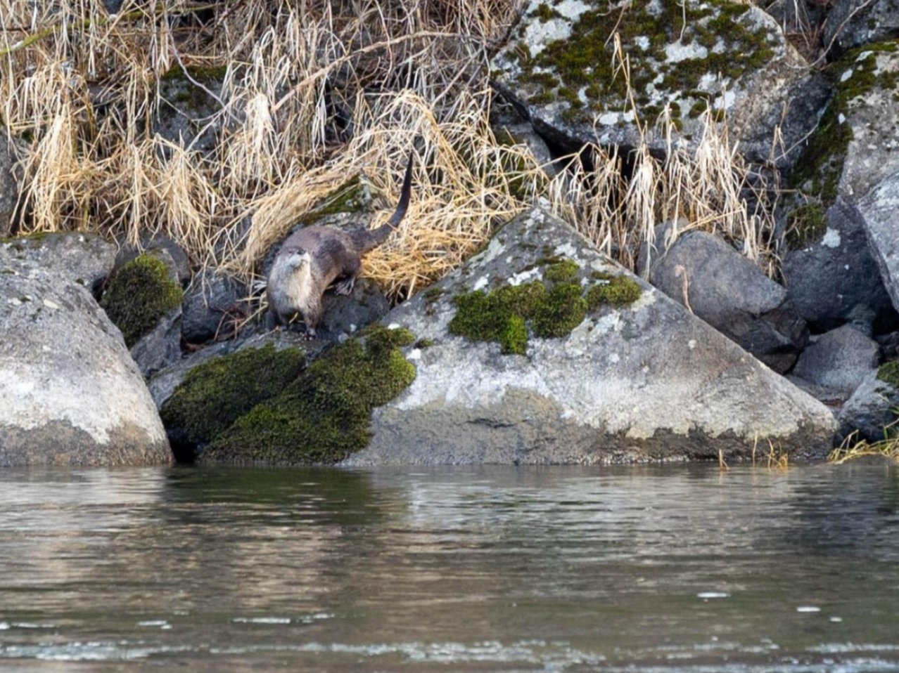 A group of volunteers standing outside of WRI's River Haus getting instruction for trash pickup around campus.