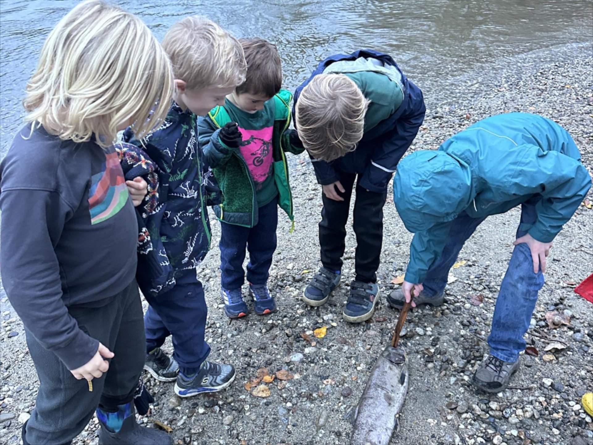 Image of After School Program children sitting in the sand by a hole with sticks. 