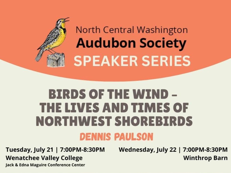 Banner image for NCW Audubon Society speaker series: Birds of the Wind - The Lives and Times of Northwest Shorebirds with Dennis Paulson