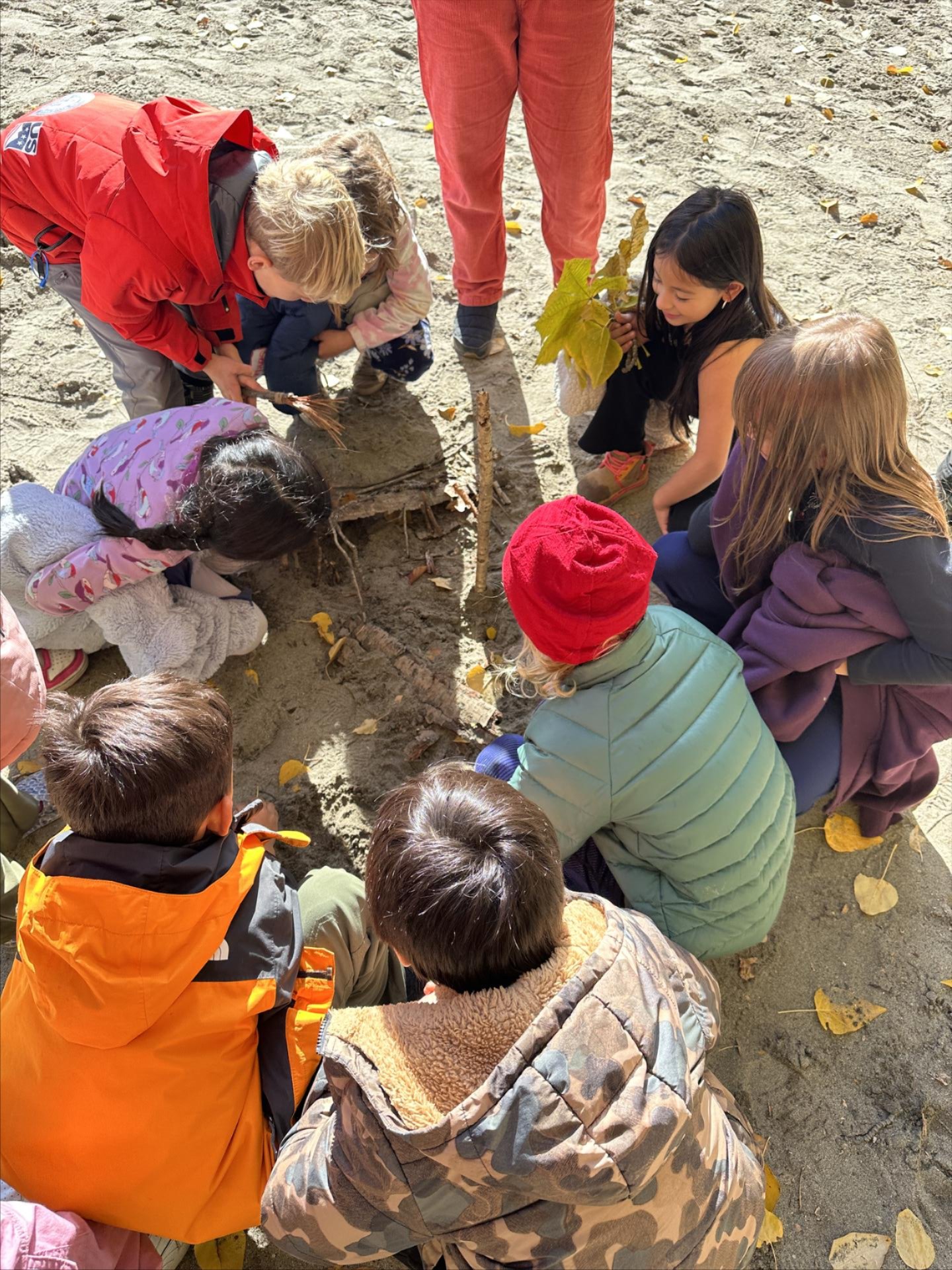A picture of 2nd grade students building a habitat home.