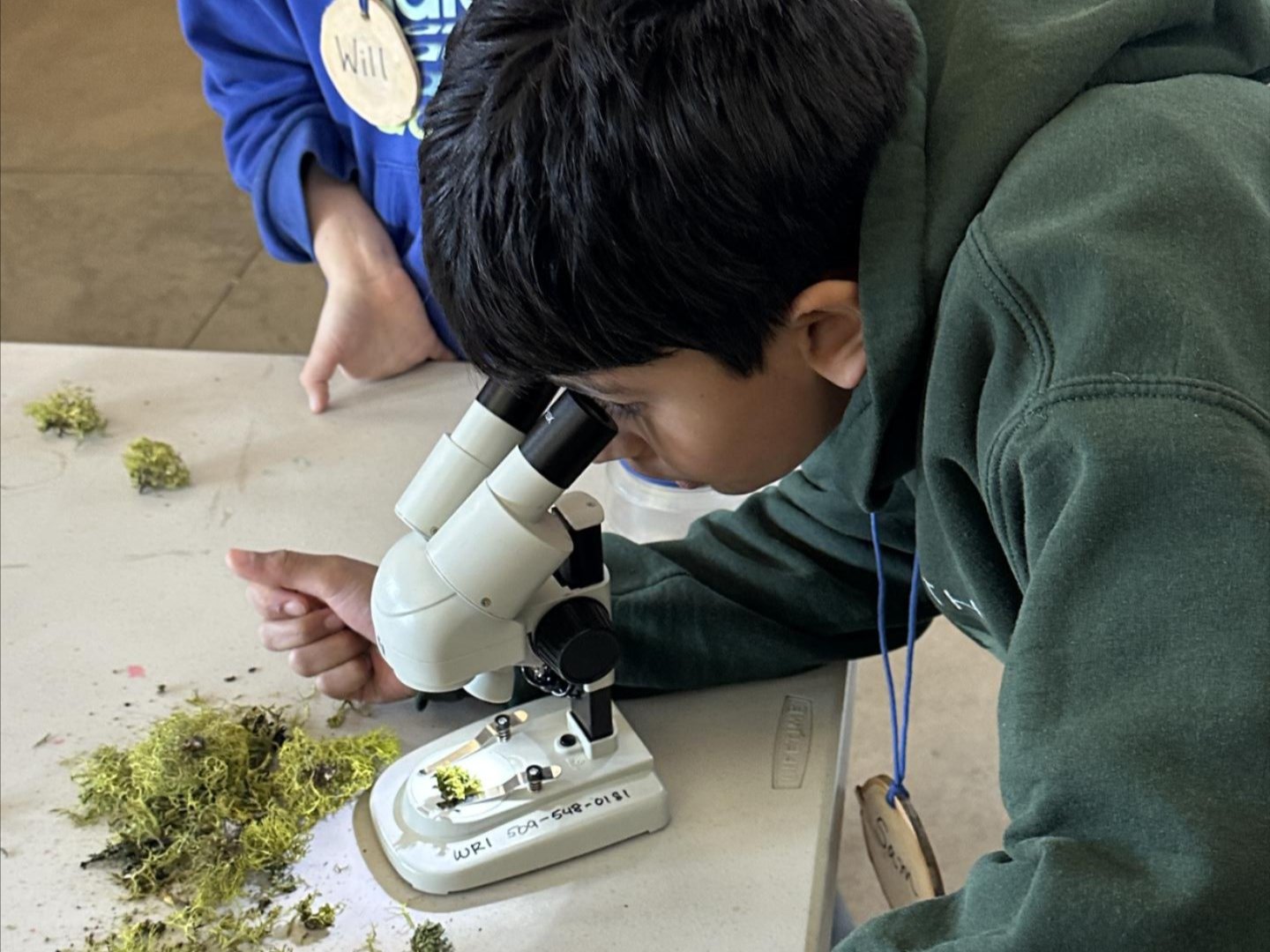 Image of a student looking in a stereoscope at lichen.